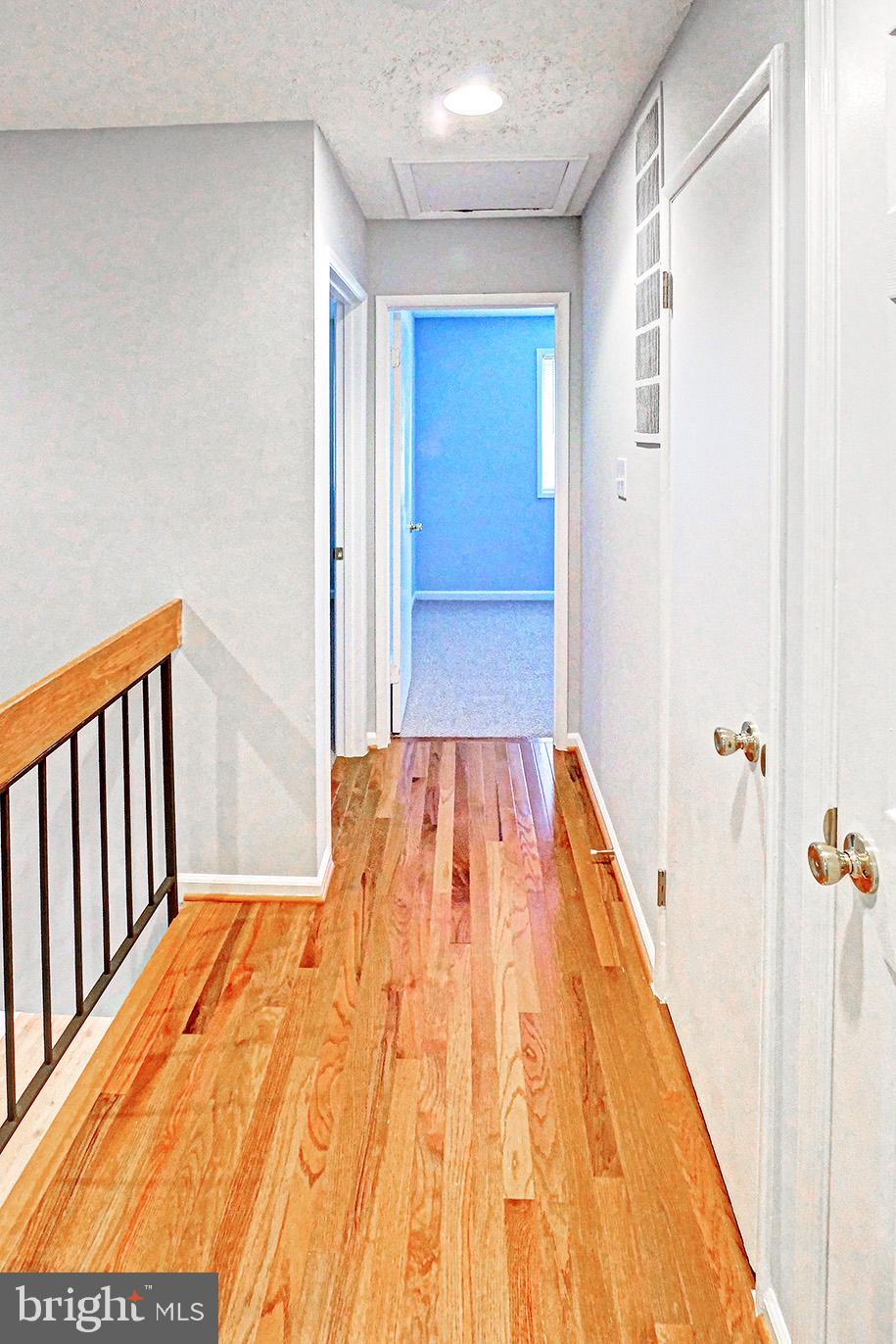 RESTON - Residential Lease