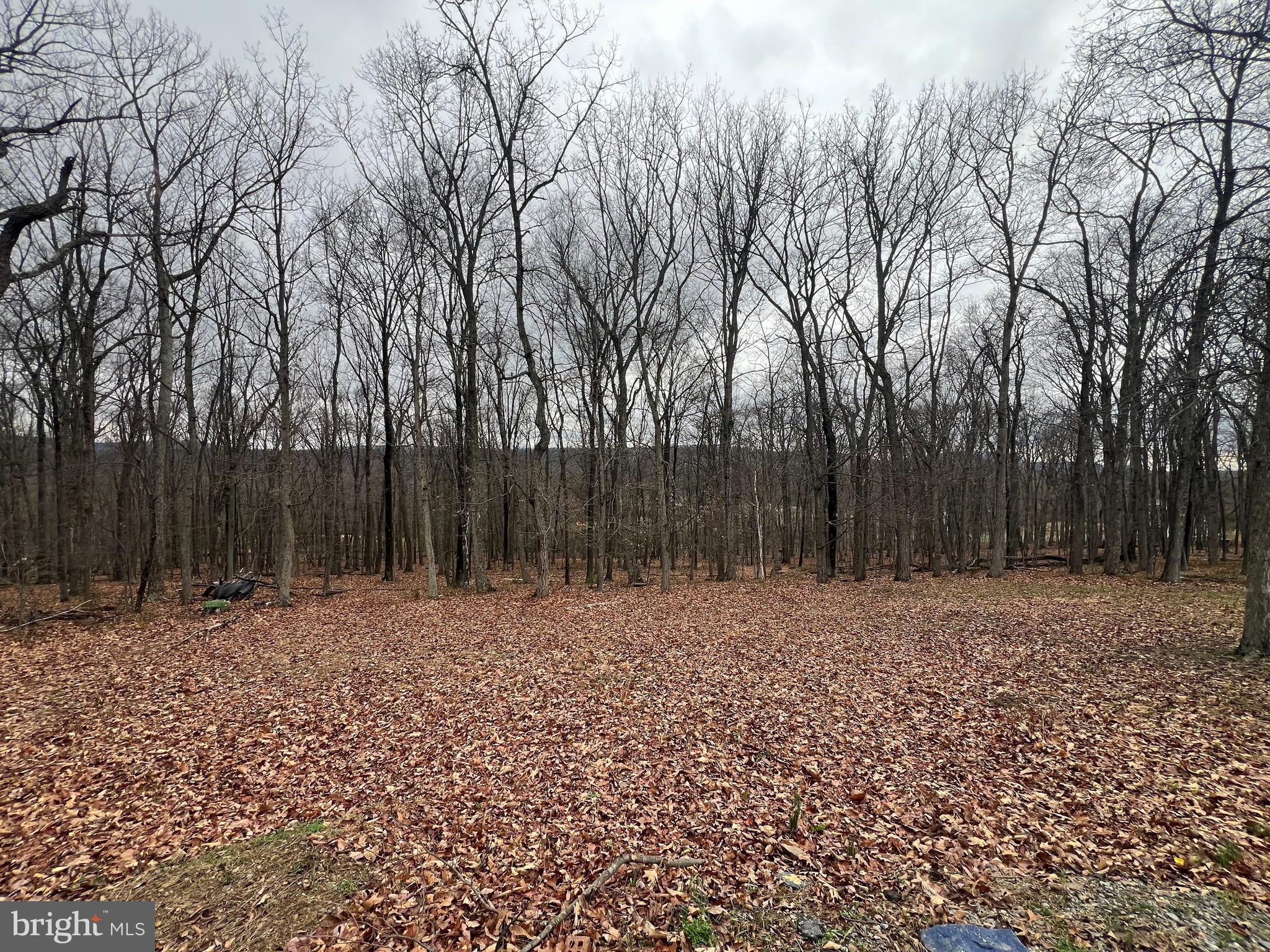 FAIRVIEW - Residential