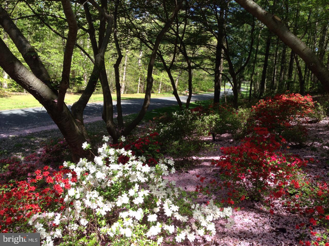 HARBOR HILLS - Residential