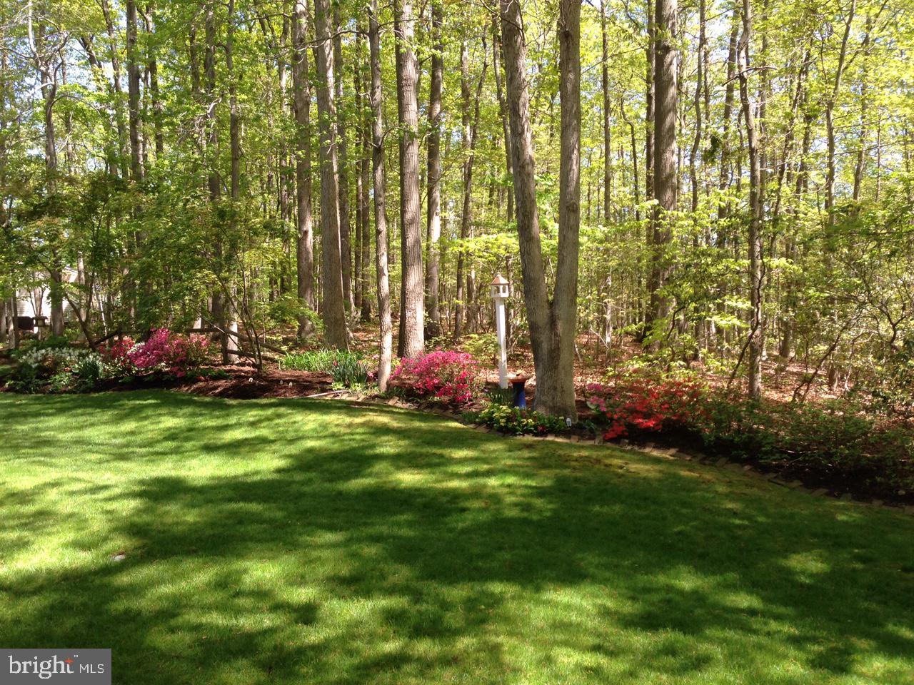 HARBOR HILLS - Residential