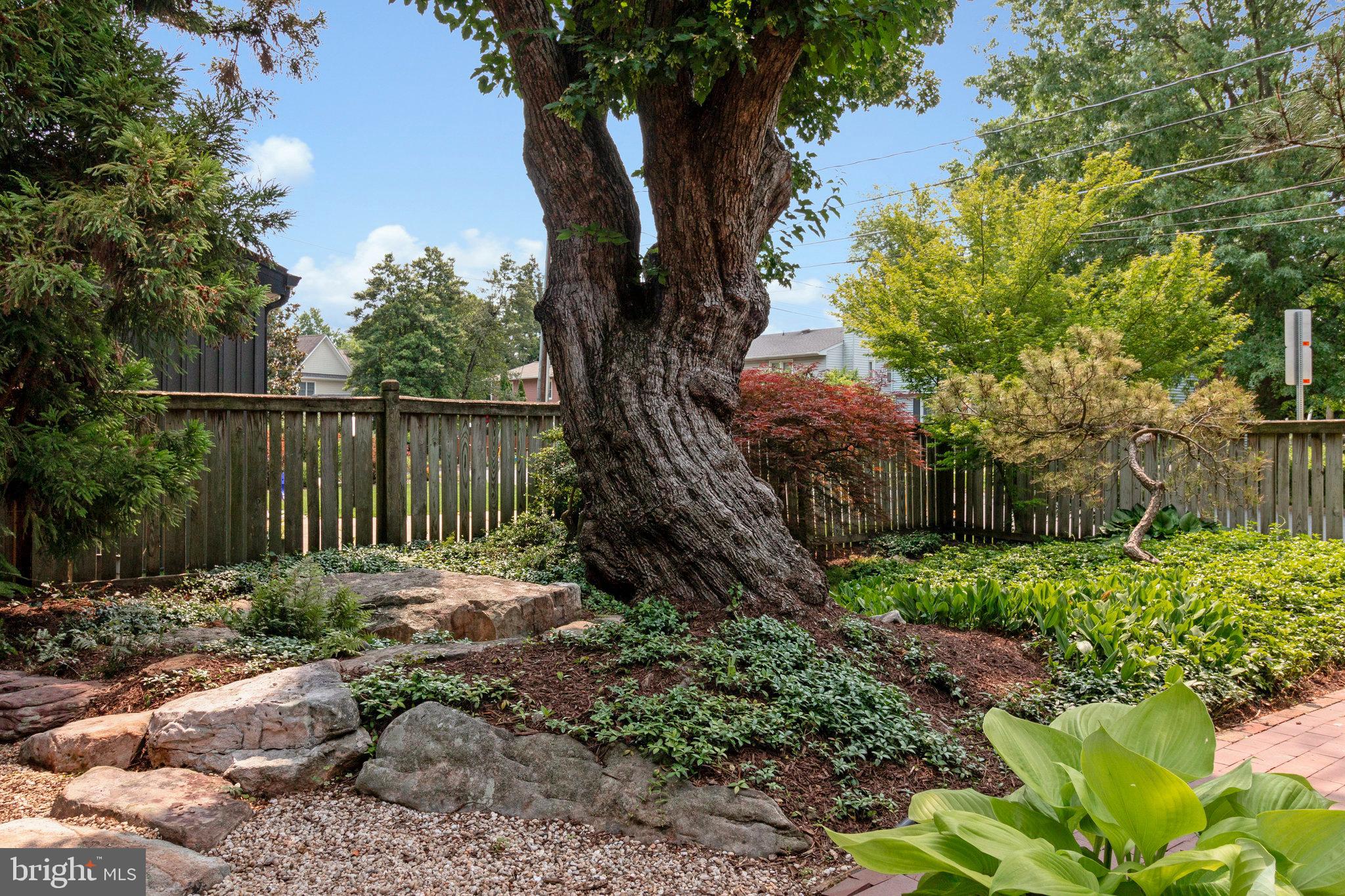 ELLISON HEIGHTS - Residential