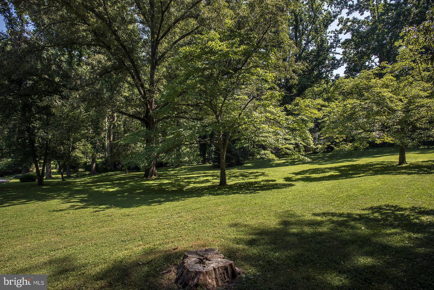 BRADLEY FARMS - Land