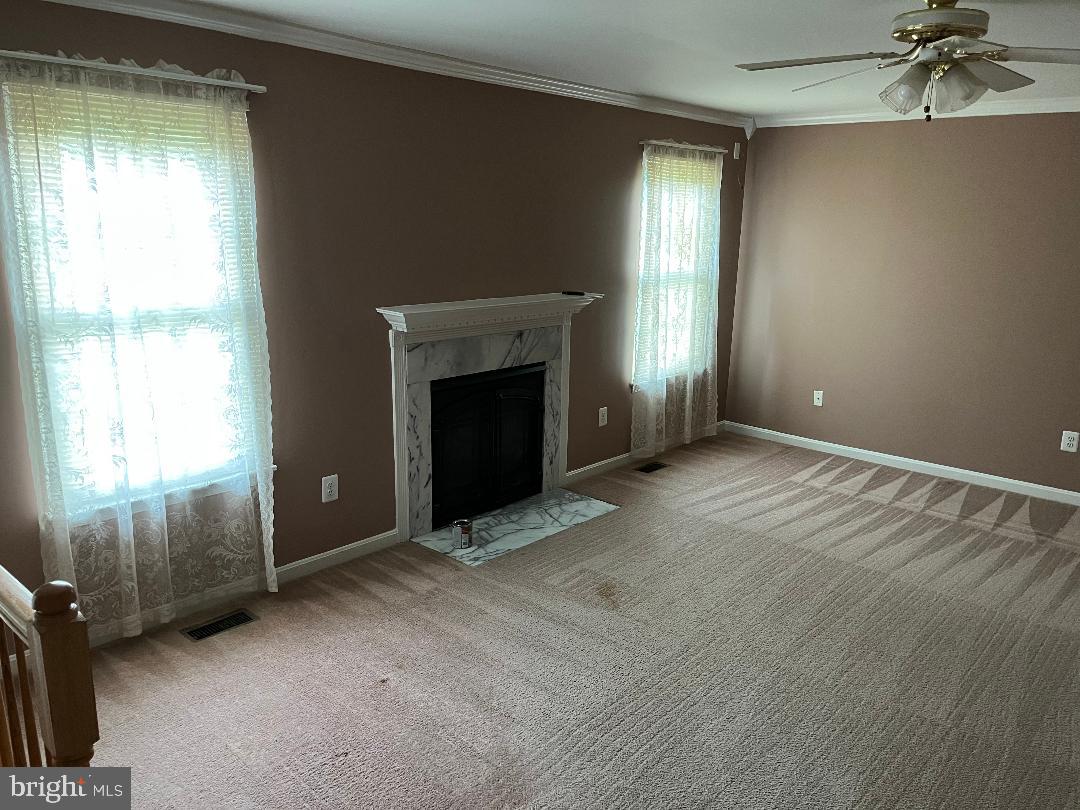 17012 CASS BROOK LANE