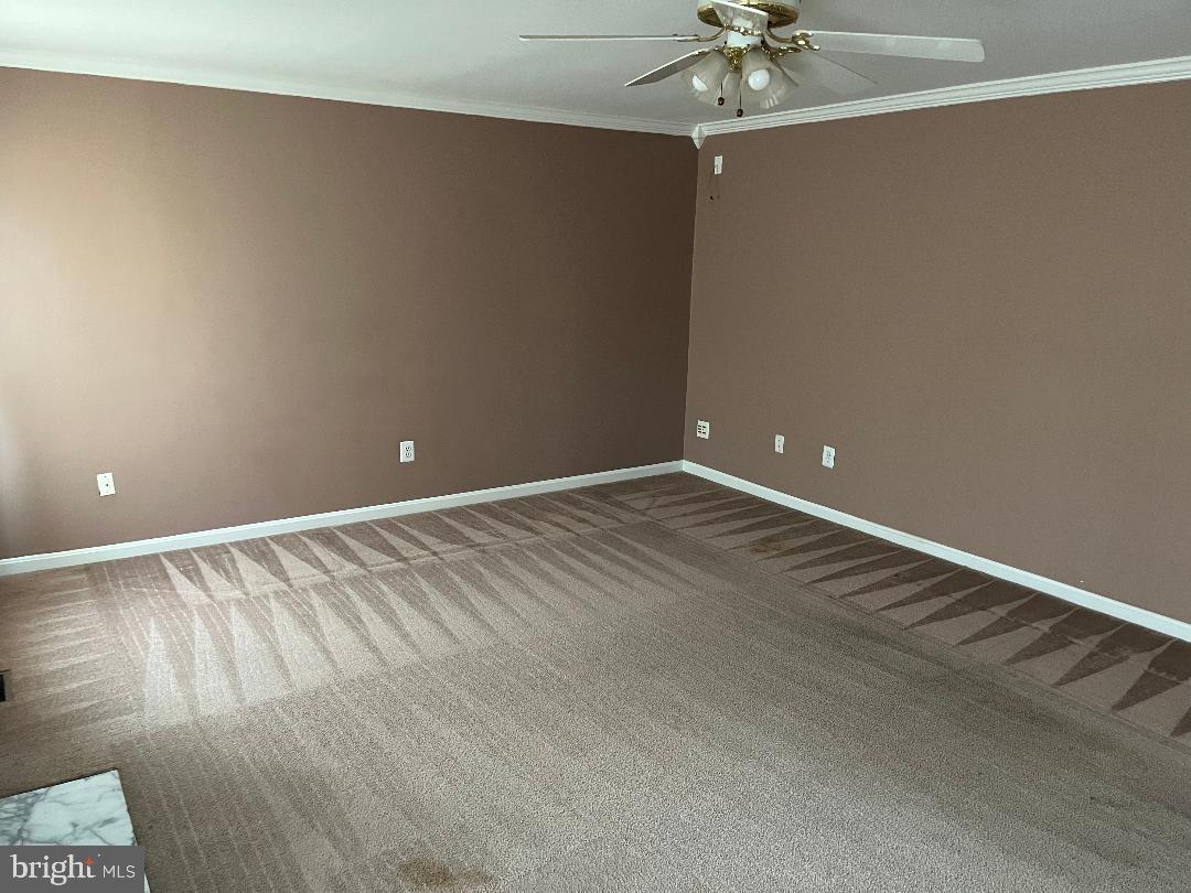 17012 CASS BROOK LANE