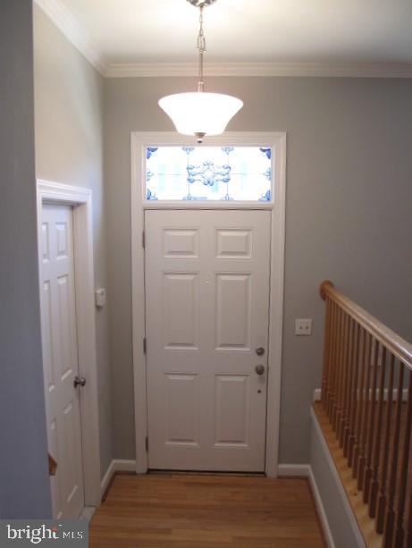 COUNTRY SQUIRE - Residential Lease