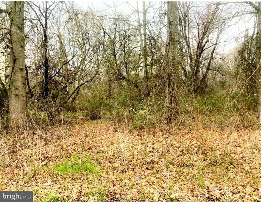 Possible Duplex Lot with a variance from the town of North East, MD. Oversized 100ft X 137ft lot. Walking distance to restaurants, shopping and water front public park and boat ramp.  Town  public water and sewer available.  Several new homes in the neighborhood.  Call showing contact number. NO HOA