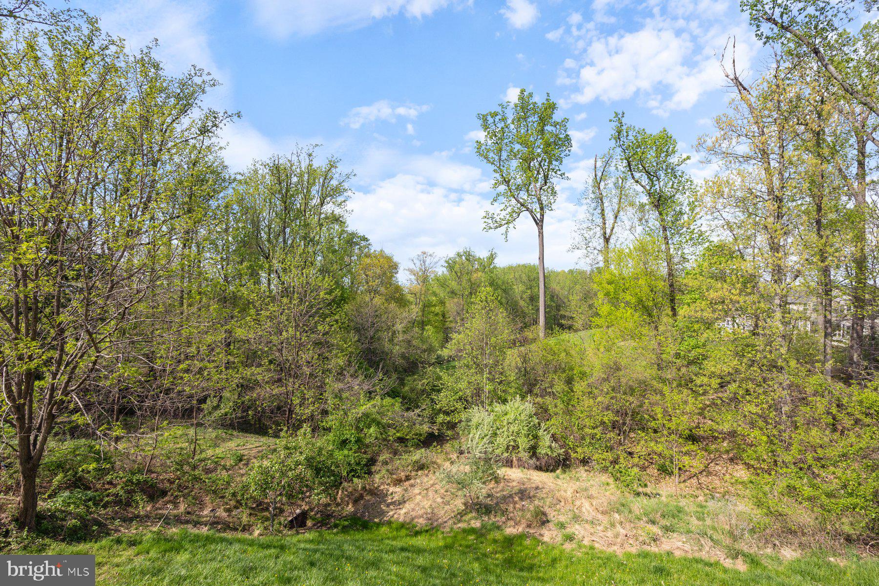 TAYLOR VILLAGE - Residential