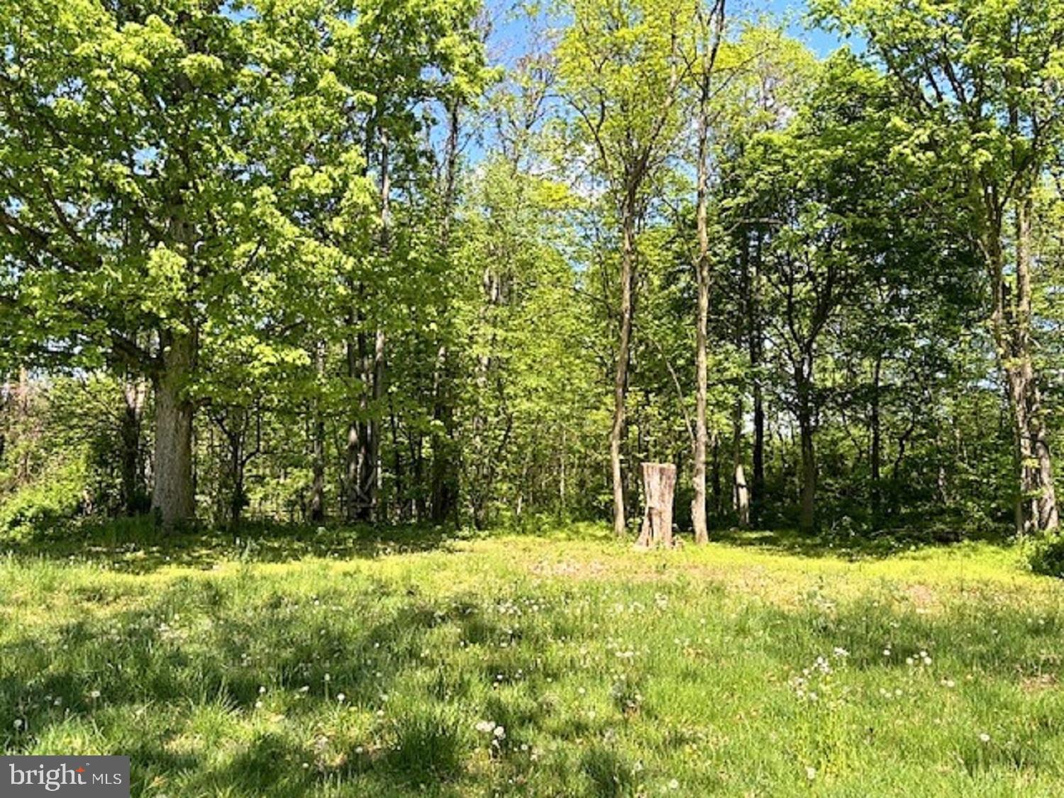 NONE AVAILABLE - Land