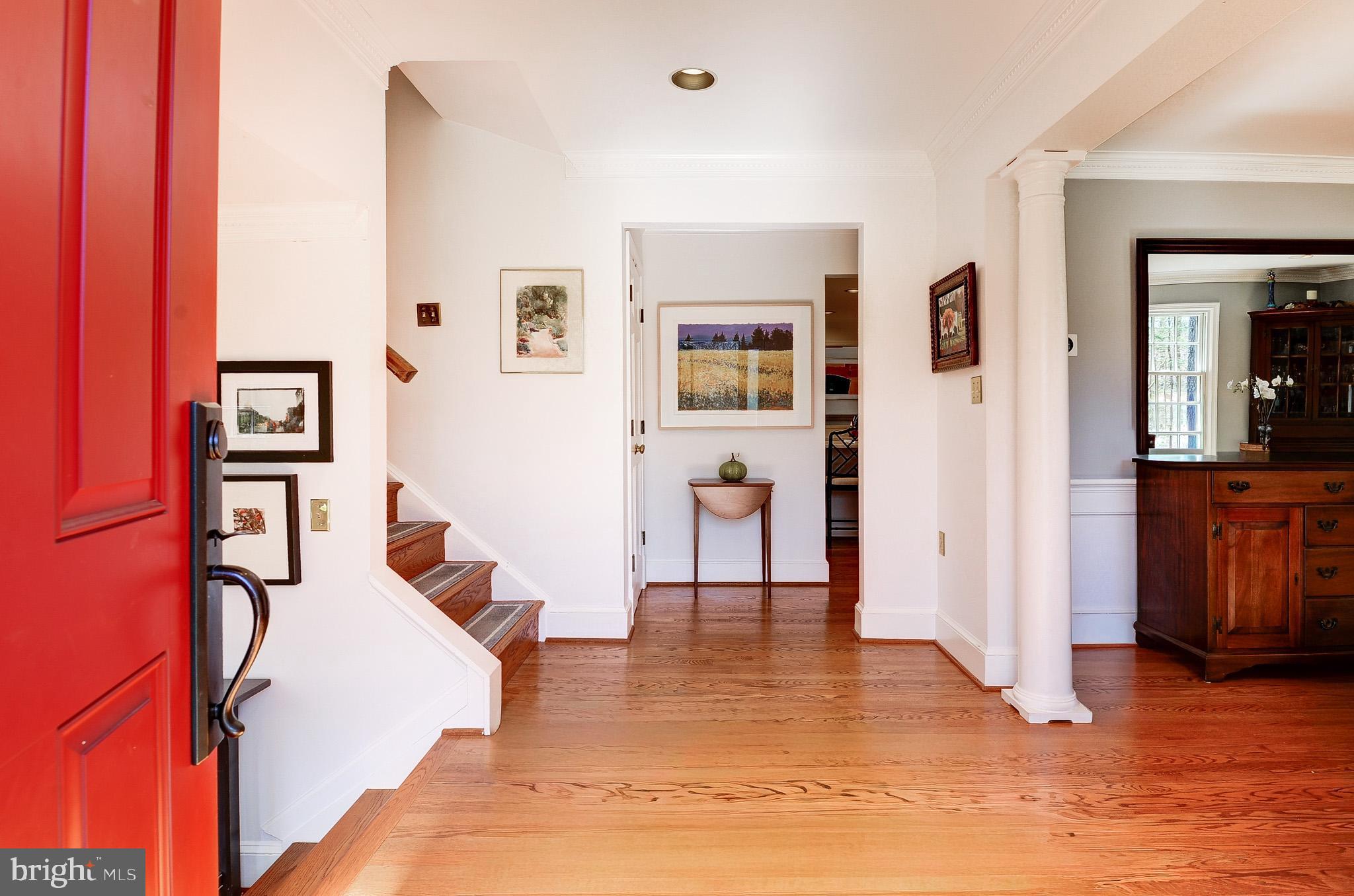 11006 RACCOON RIDGE COURT