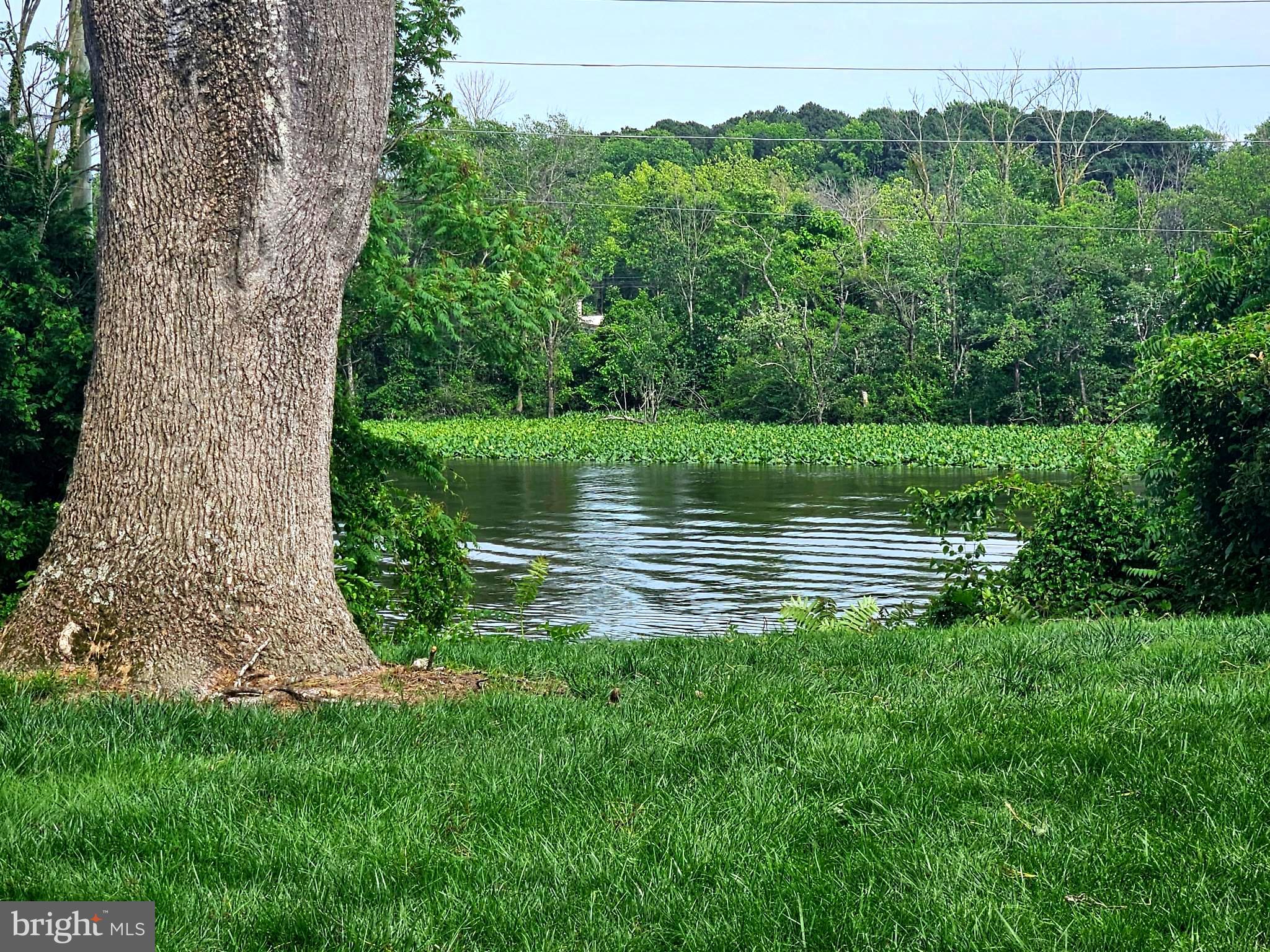 121 S CONWELL STREET