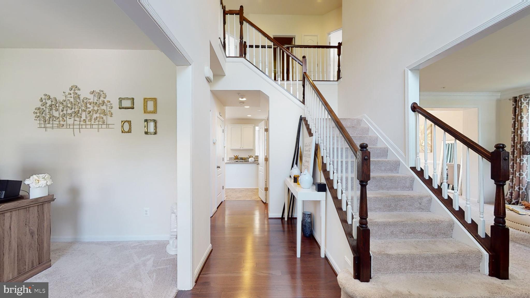 BEALLE HILL FOREST - Residential