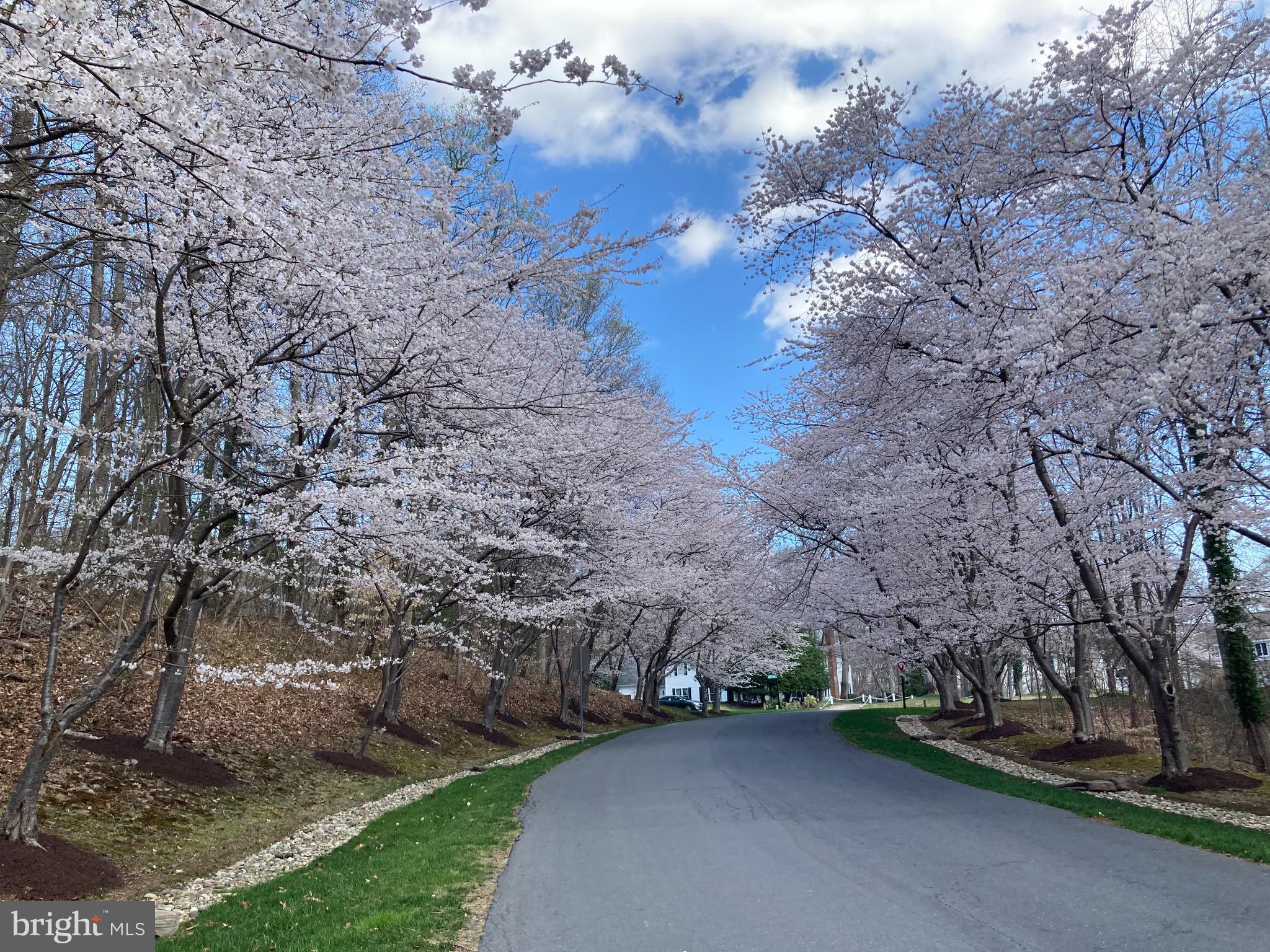 BELVOIR FARMS - Residential