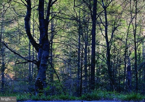 Vacant Land For Sale - 149D-1106A Cabin Fork 6.15ac<br/> DANTE, VA 24237