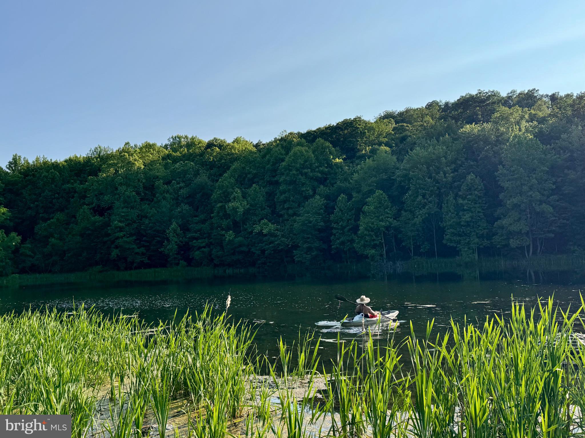 SHENANDOAH FARMS - Residential