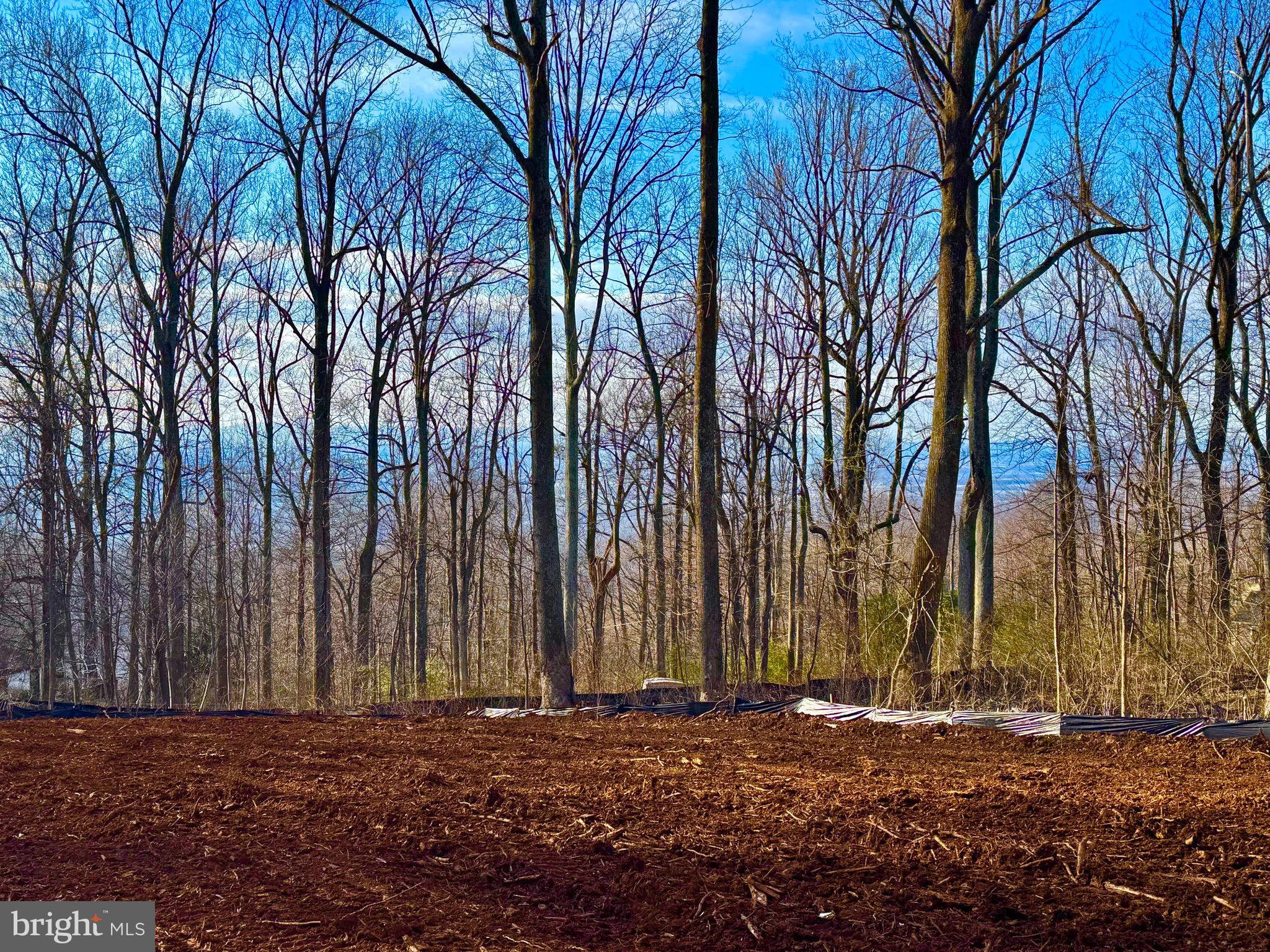 SHENANDOAH FARMS - Residential