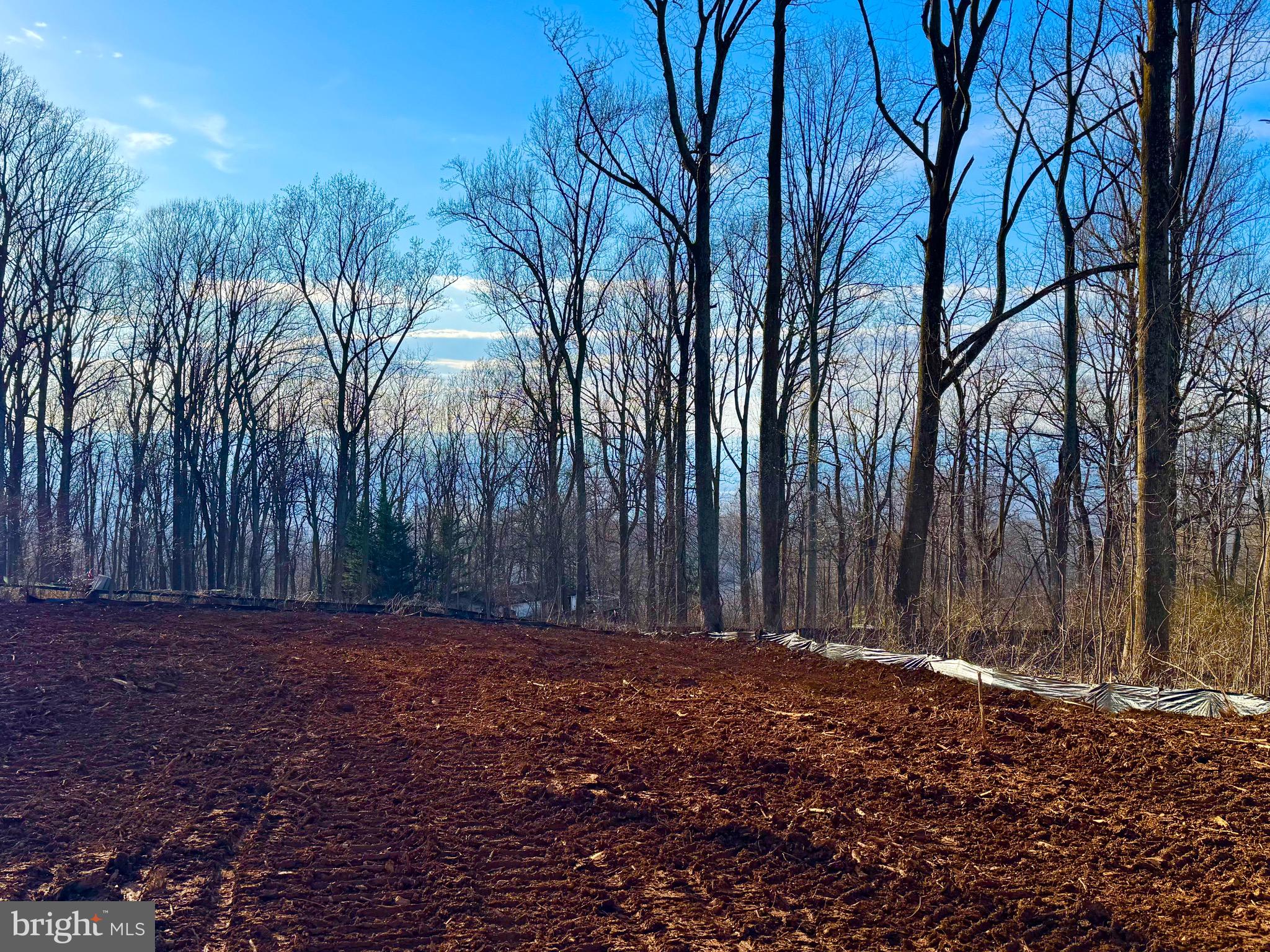 SHENANDOAH FARMS - Residential