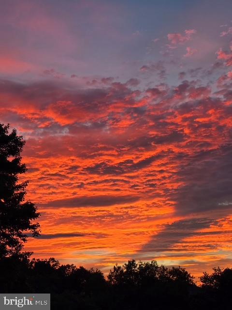 LIFESTYLE AT SULLY STATION - Residential