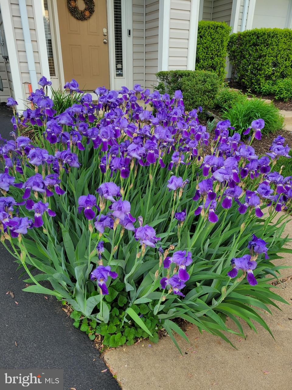 LIFESTYLE AT SULLY STATION - Residential