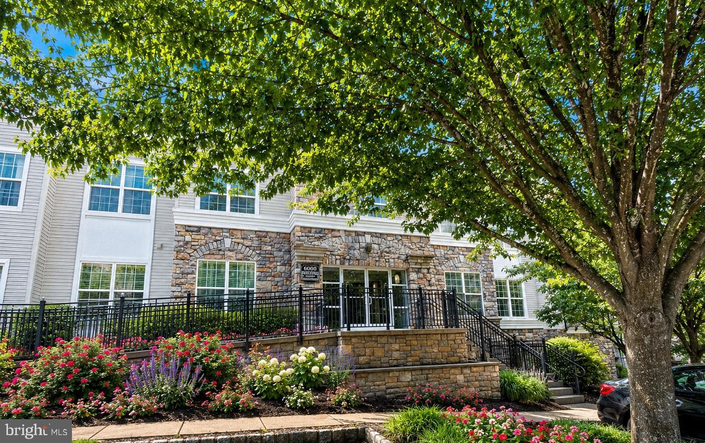THE HOLLOW AT FOX VA - Residential