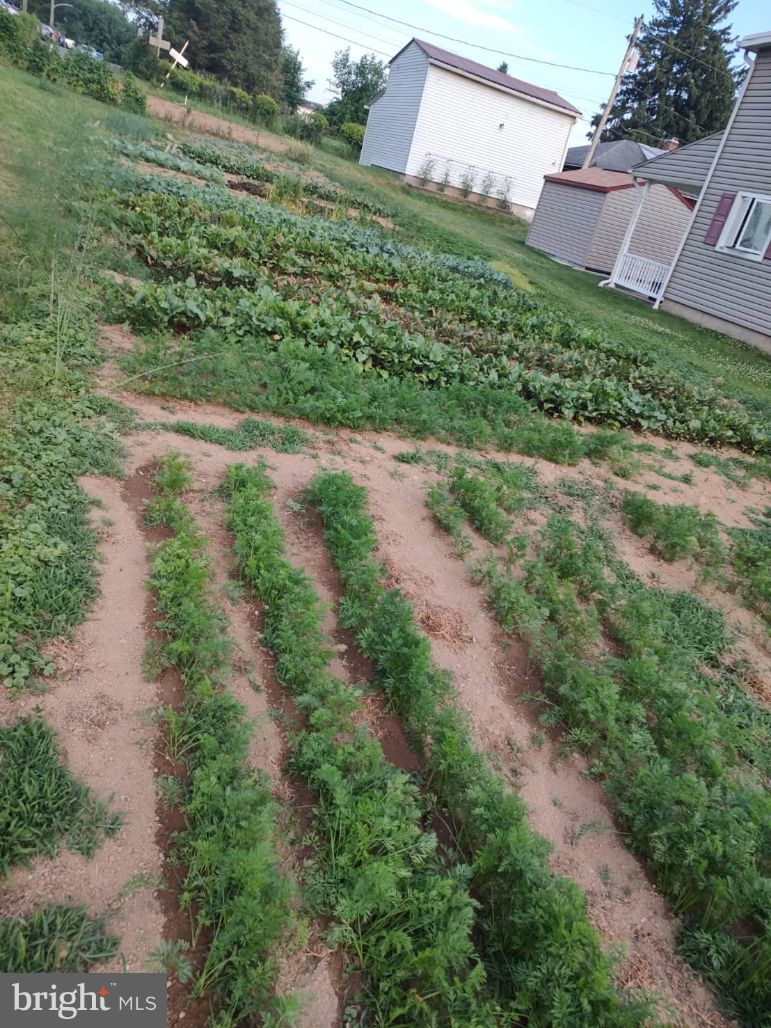 AUTUMN RIDGE - Residential