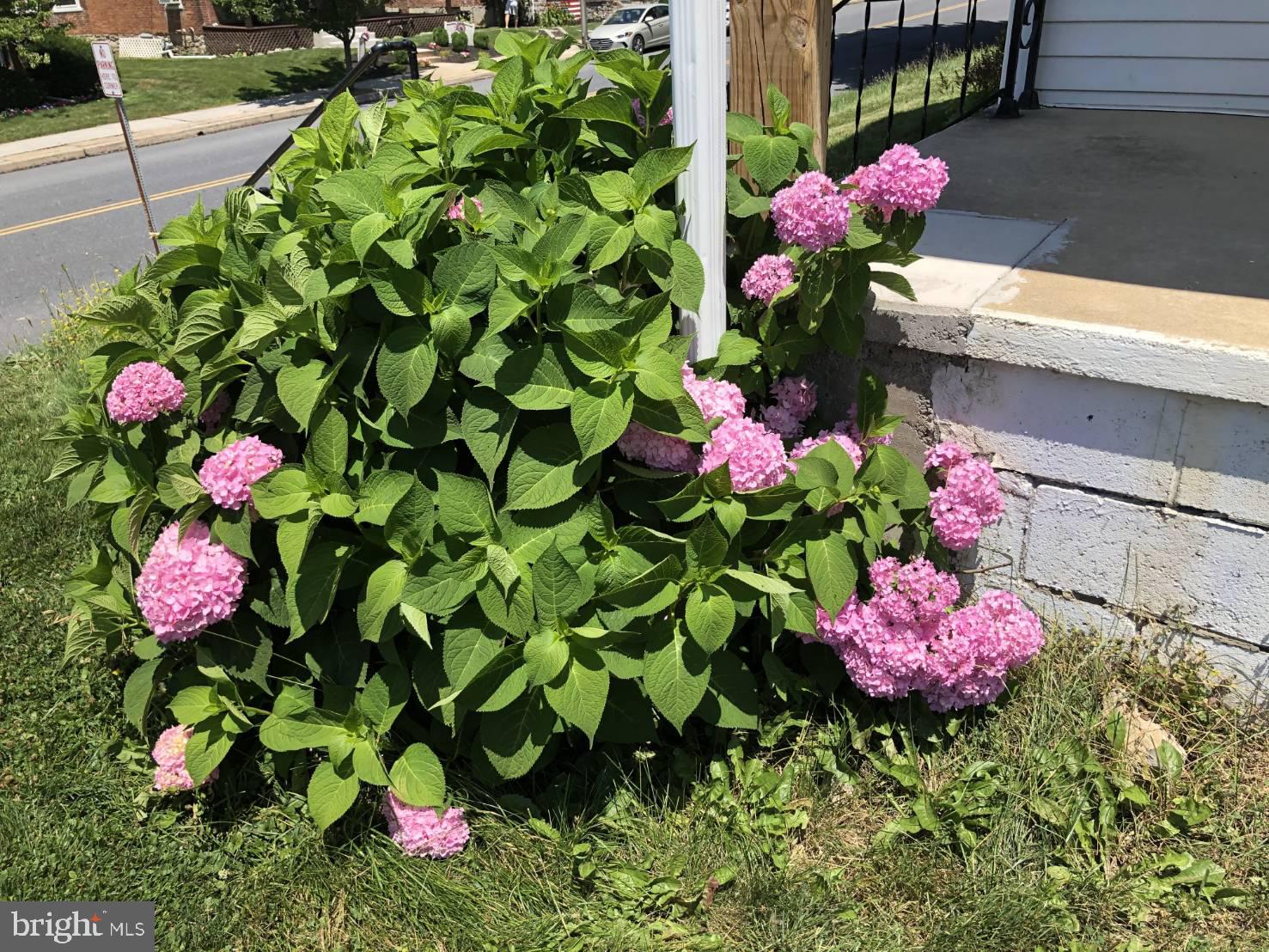 AUTUMN RIDGE - Residential