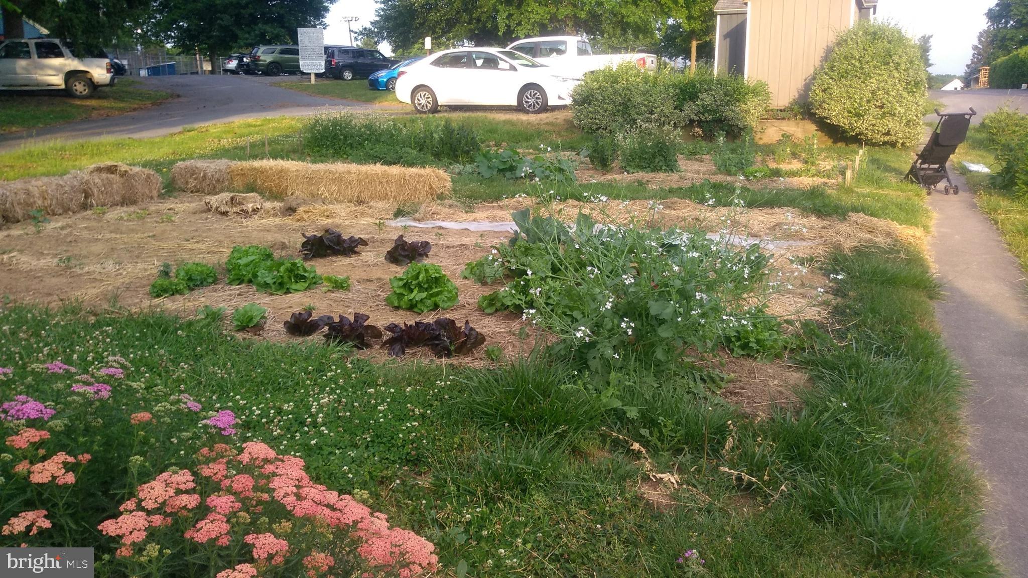 AUTUMN RIDGE - Residential