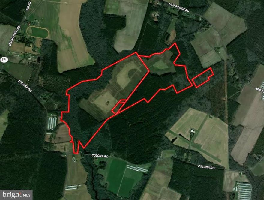 This ownership sits in the southwestern corner of Worcester County where the headwaters of Little Mill Creek feed into the Pocomoke River and the Pocomoke Sound. Situated with the Pocomoke River just over a mile to the west and Pitts Creek approximately 1.5+/- miles to the south, the farm lays within a prime corridor for Waterfowl, Whitetail, Turkey, and other upland species. The 137+/- cleared acres position the farm to be ideal for crop production with recently terminated CRP/CREP grassland (104+/- acres) adding organic matter and soil structure from years of rest. The remaining 125+/- acres are characterized by 50+/- acres of hardwood bottom/pine and 75+/- acres of cut over woods completed in 2025. An older residential structure sits near the center of the property and is of no value. The structure and utilities available are being sold as is where is. Tax map boundaries and deed description do not align. Survey available under documents or through listing agent.

Farming rights for the 2026 growing season will convey in the sale of this property. Property is NOT encumbered with a conservation easement. DO NOT ENTER PROPERTY WITHOUT PERMISSION OF THE LISTING AGENT.