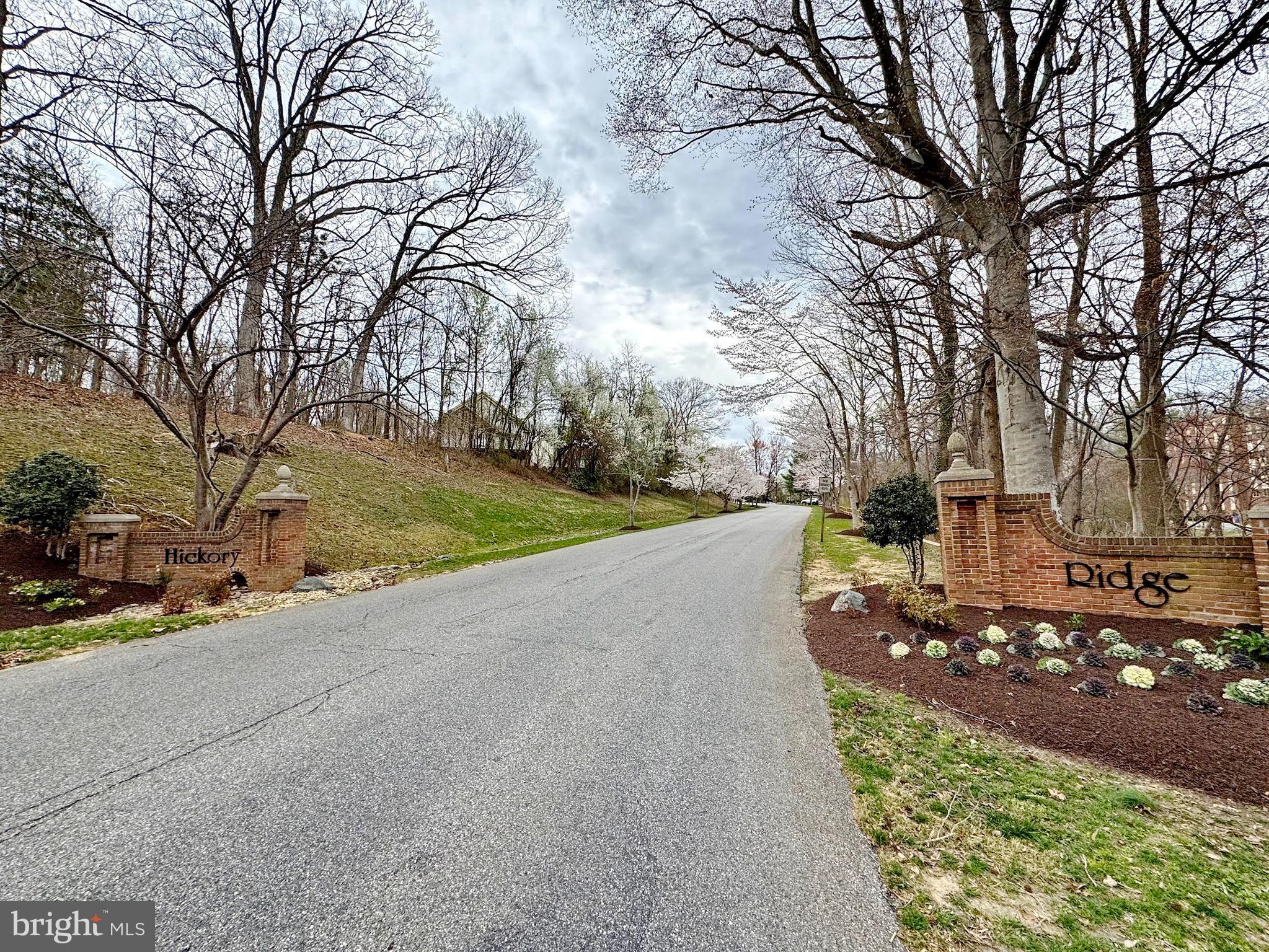 HICKORY RIDGE LA PLATA - Residential