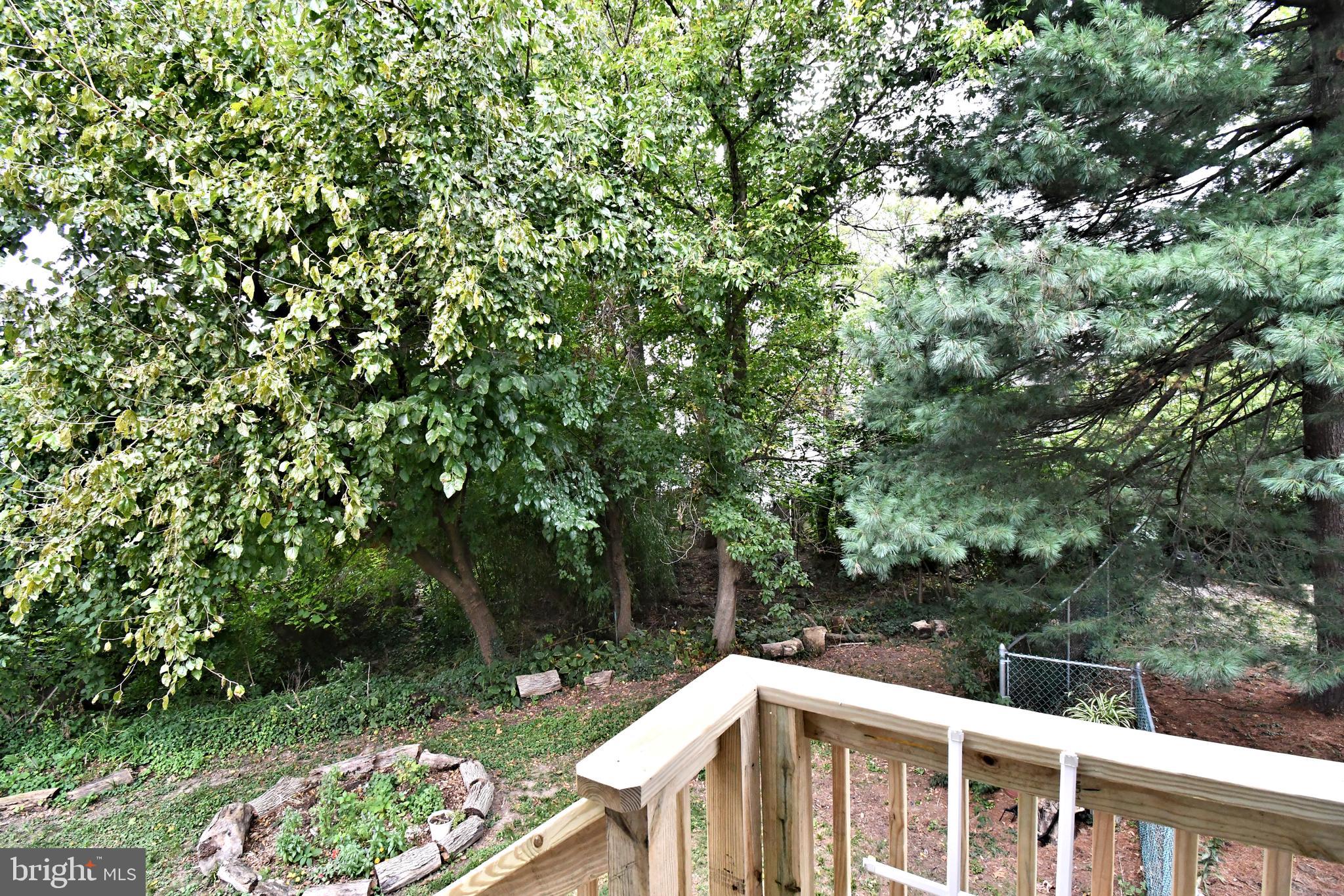 LAUREL WOODS - Residential