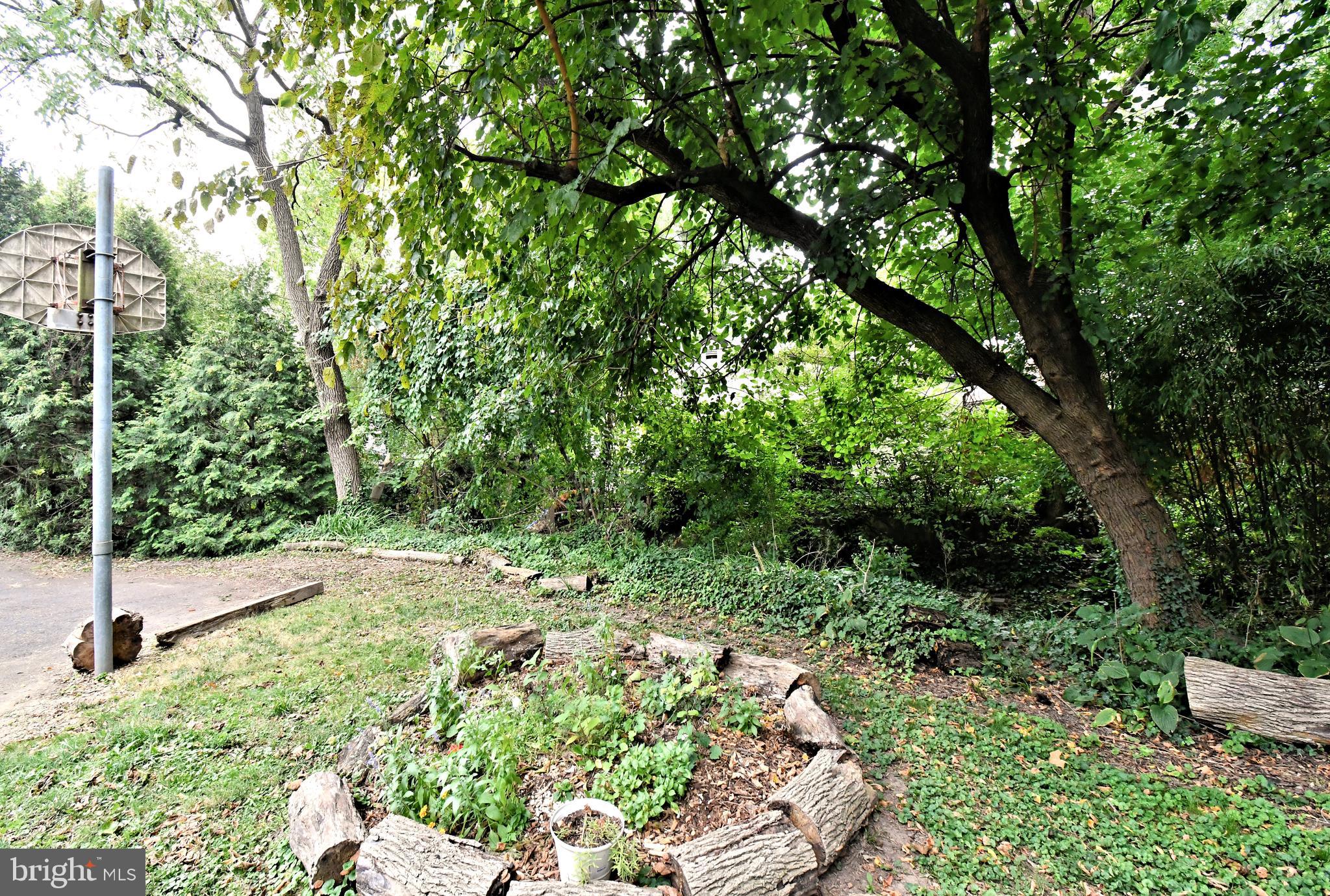 LAUREL WOODS - Residential