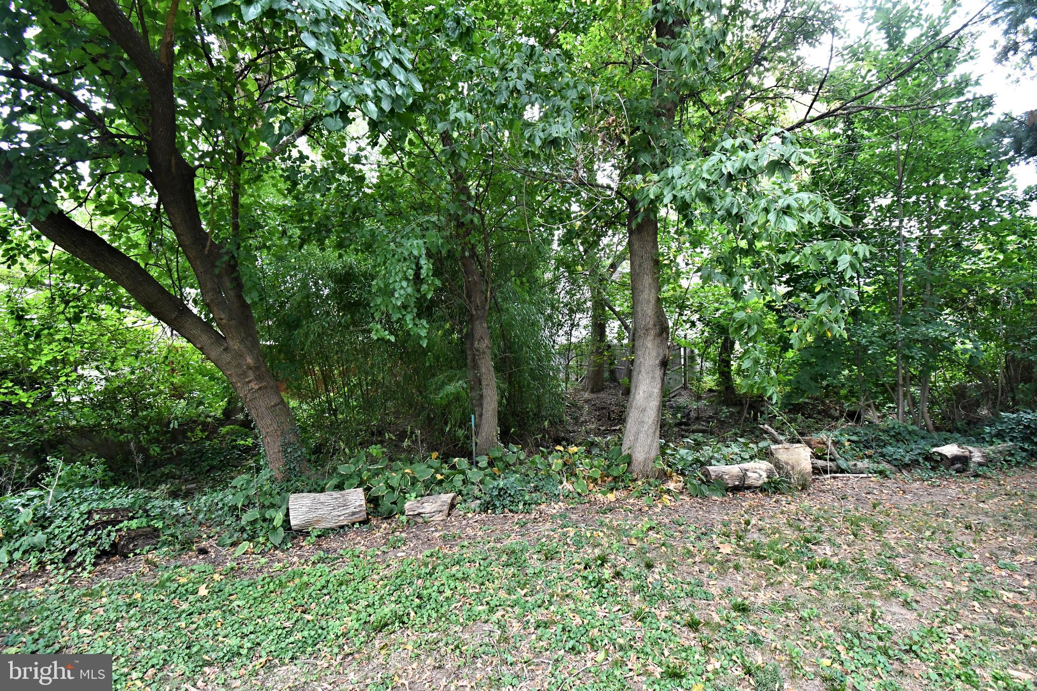 LAUREL WOODS - Residential