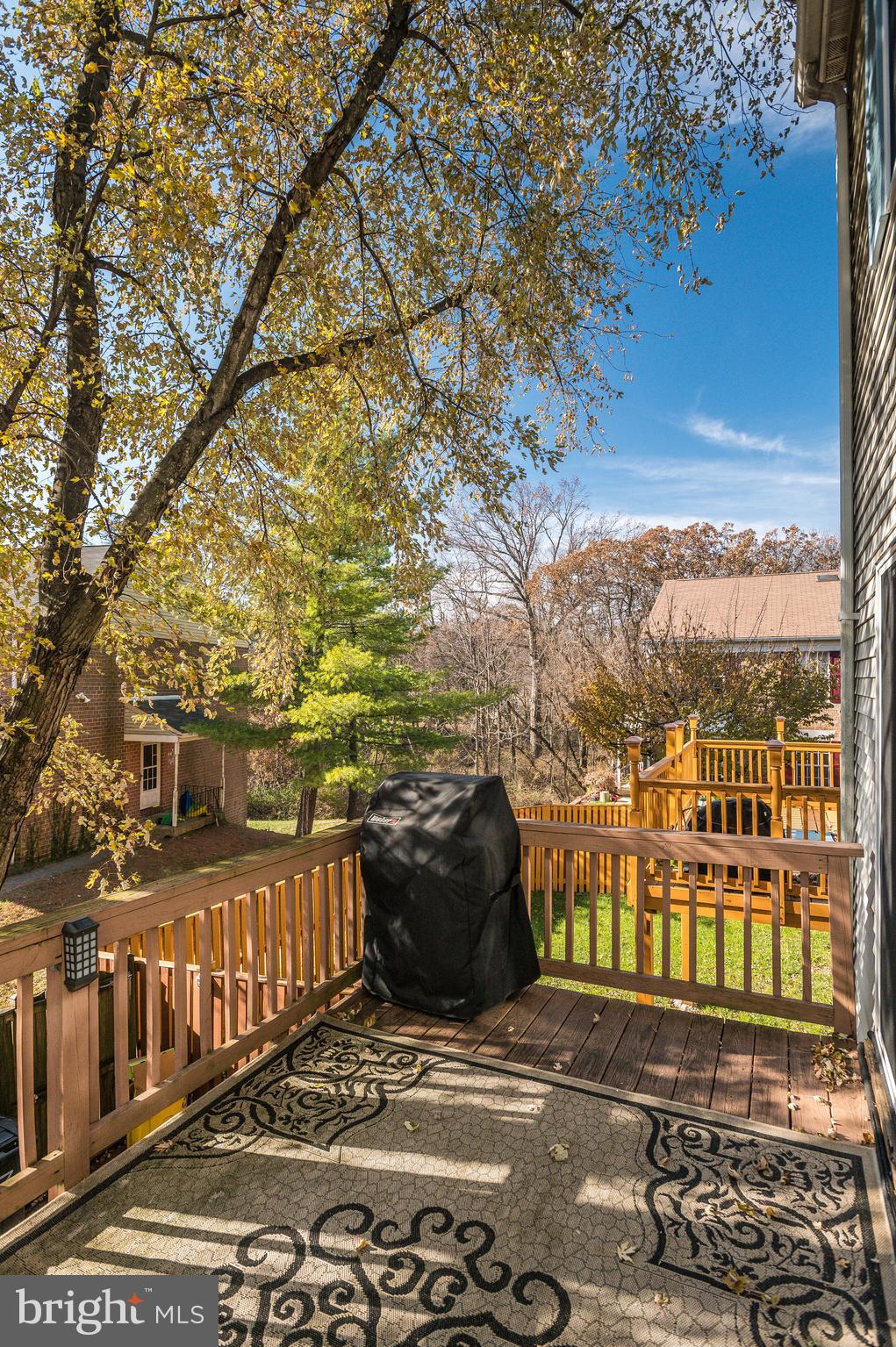 COURTLAND WOODS - Residential