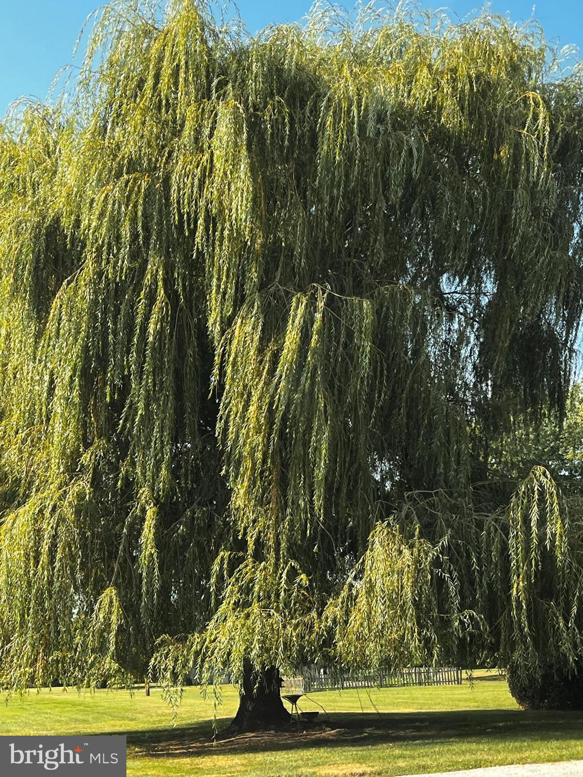 EASTON - Residential