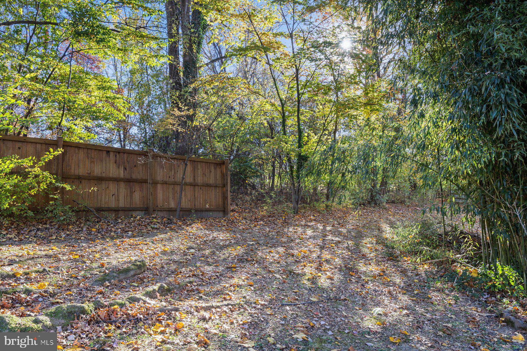 STEVENS FOREST - Residential