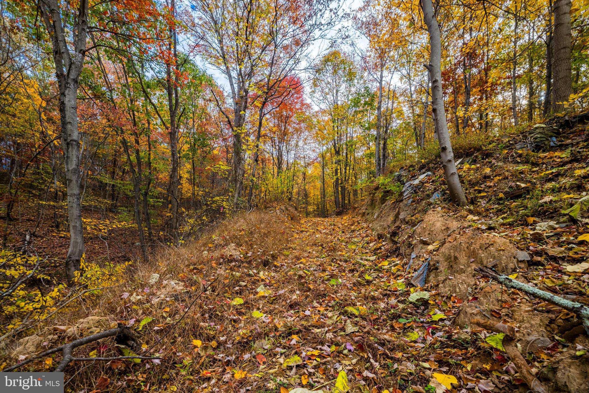 LUCAS HOLLOW RD