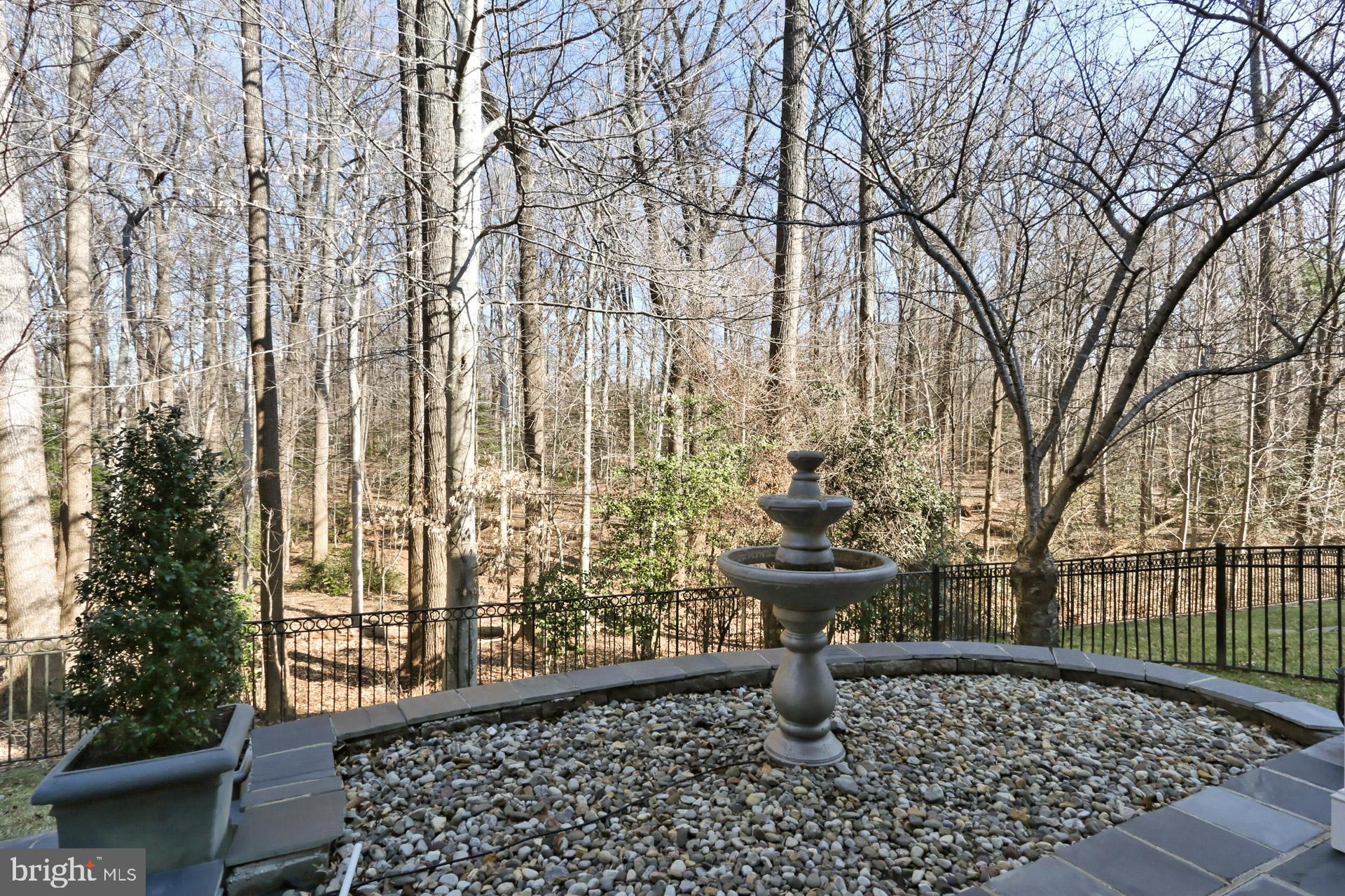 PICKETT'S RESERVE - Residential