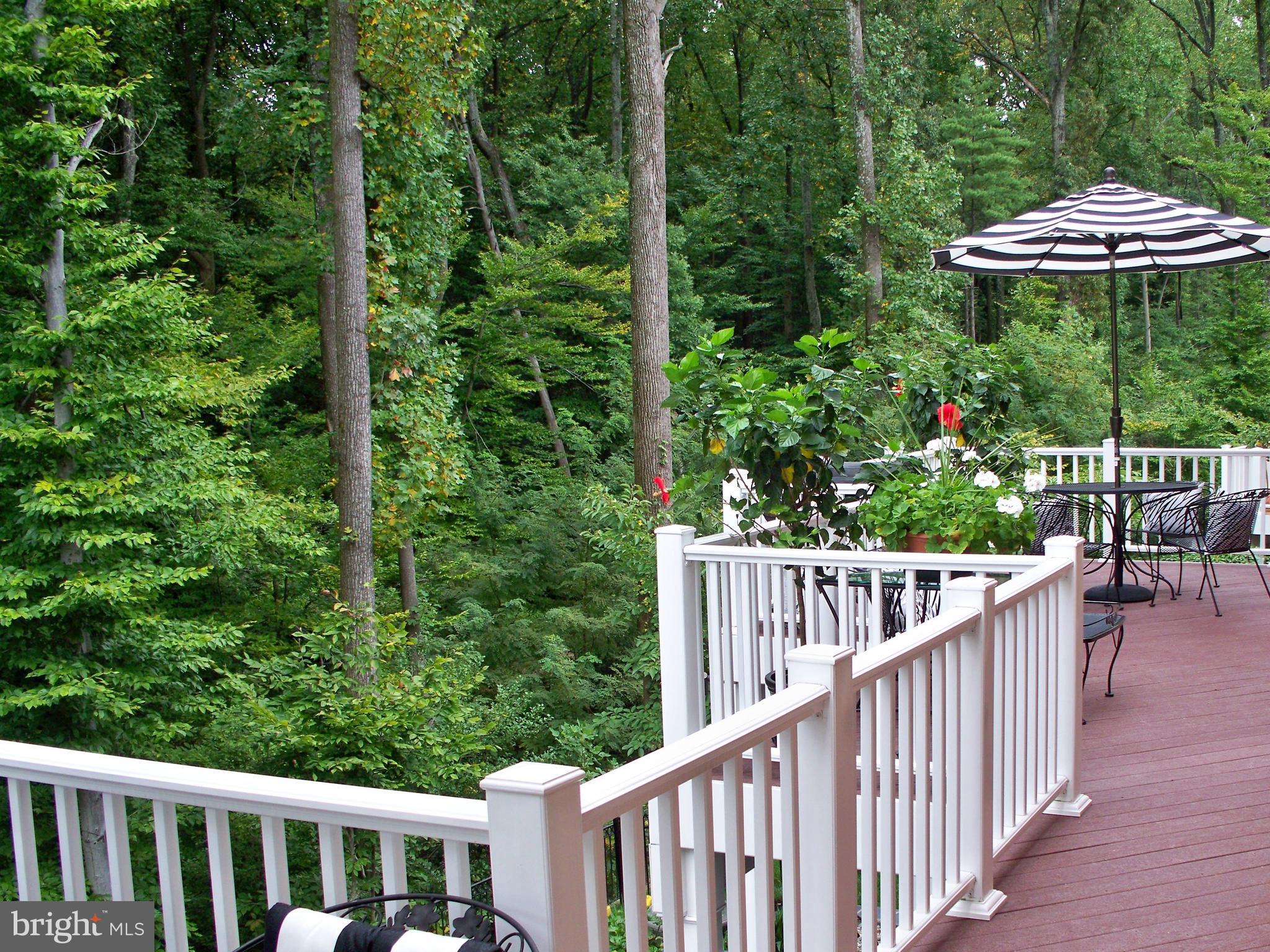 PICKETT'S RESERVE - Residential