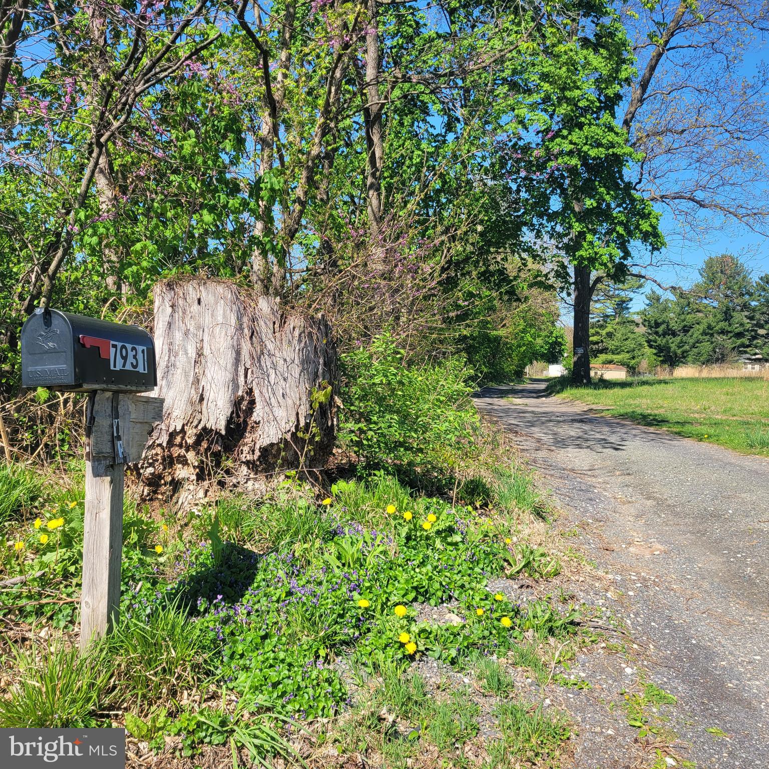 7931 BOYERTOWN PIKE