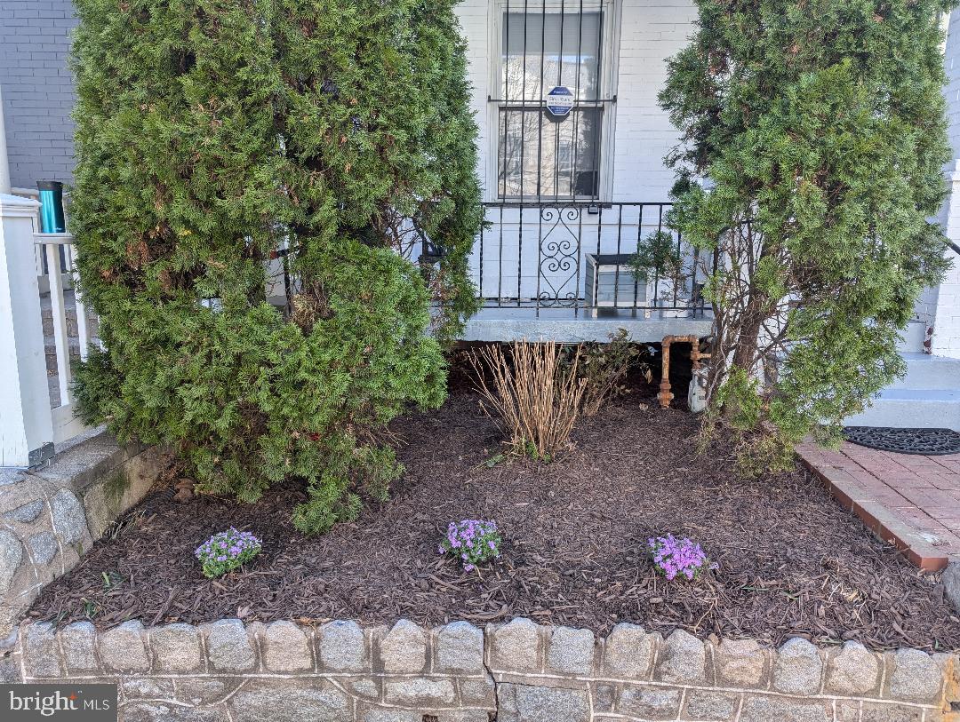 OLD CITY #1 - Residential