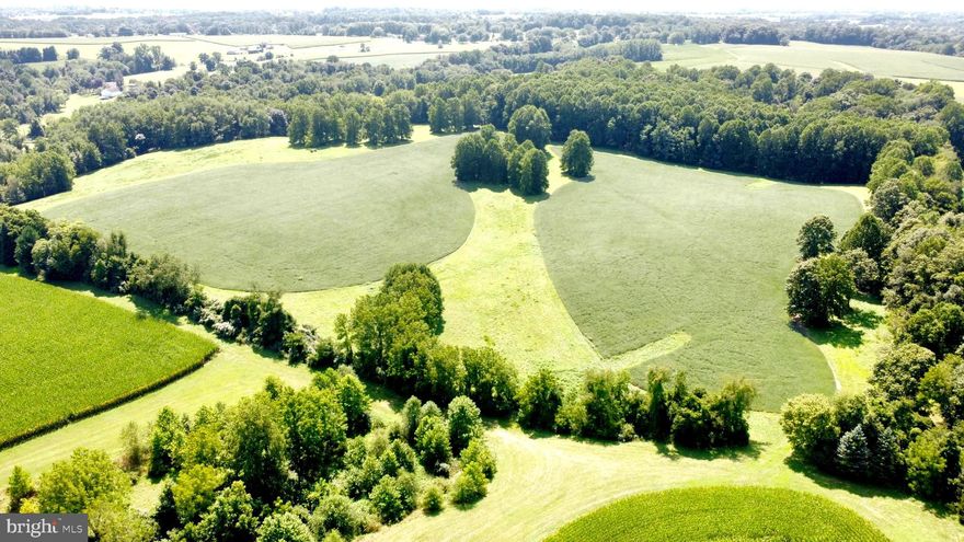 Rarely does an opportunity come along to own a piece of land as breathtaking as this 98-acre gem. Tucked away at the end of a private lane, and adjacent to Phillip and Evie Dutton's True Prospect Farm, the land straddles both Londonderry and West Marlborough townships. With an almost equal mix of open space and woodlands, the views throughout the property are simply stunning. The woodlands are comprised of three different forests that cover the property from north to south with the northern forest that is approximately 65 years old. Meadows and crops are intertwined between the southwest forest and southeast forest, which straddles a series of streams that meander through the valley of this amazing property. The property is protected by a Brandywine Conservancy Easement and does allow for the construction of a primary residence, as well as the renovation or replacement of the two existing residences on the property. This is a unique chance to own an amazing piece of land in one of the most protected parts of Chester County. This property is conveniently located close to Philadelphia, Wilmington, and the I-95 corridor.