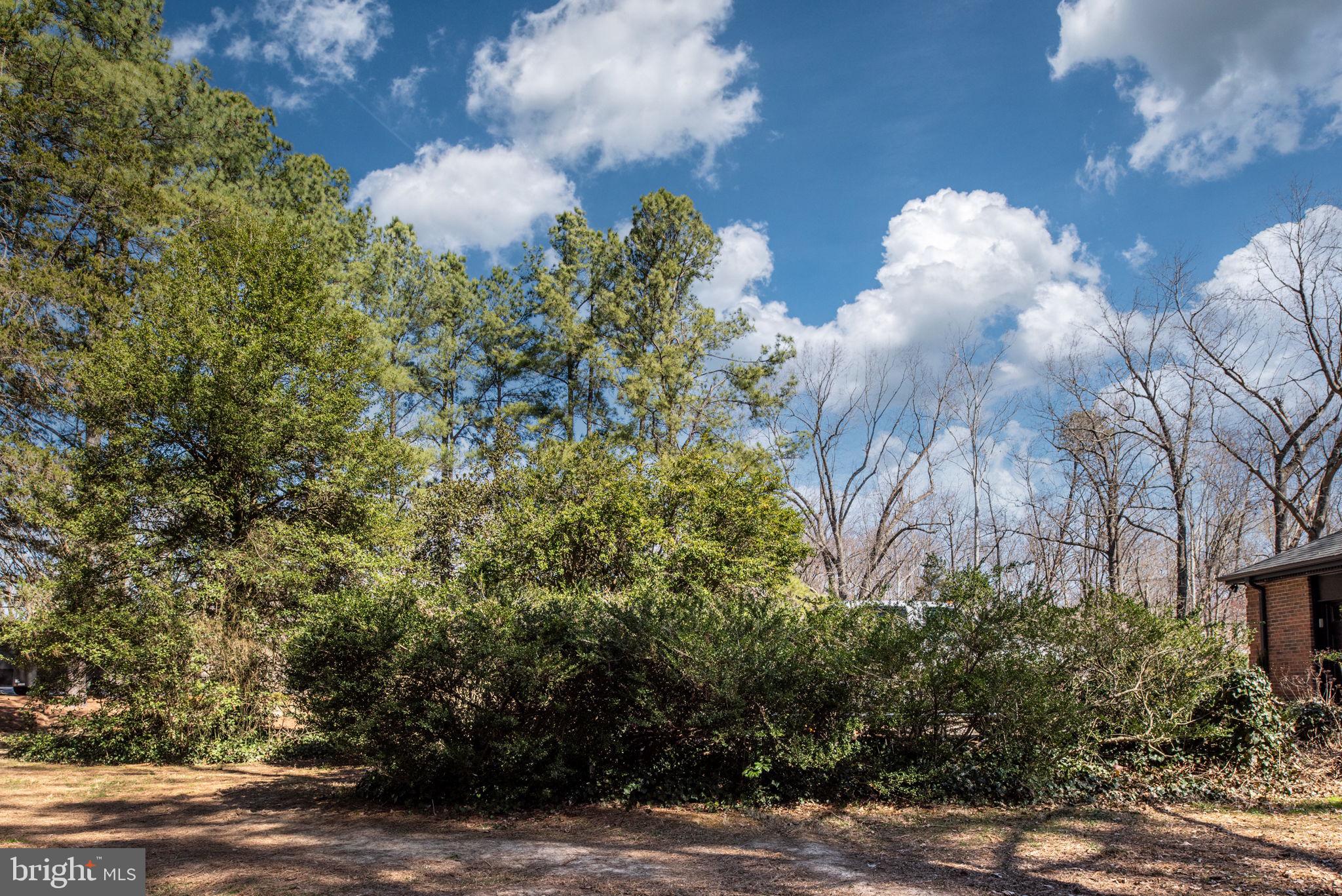 BELMONT HILLS/INGLESIDE - Residential