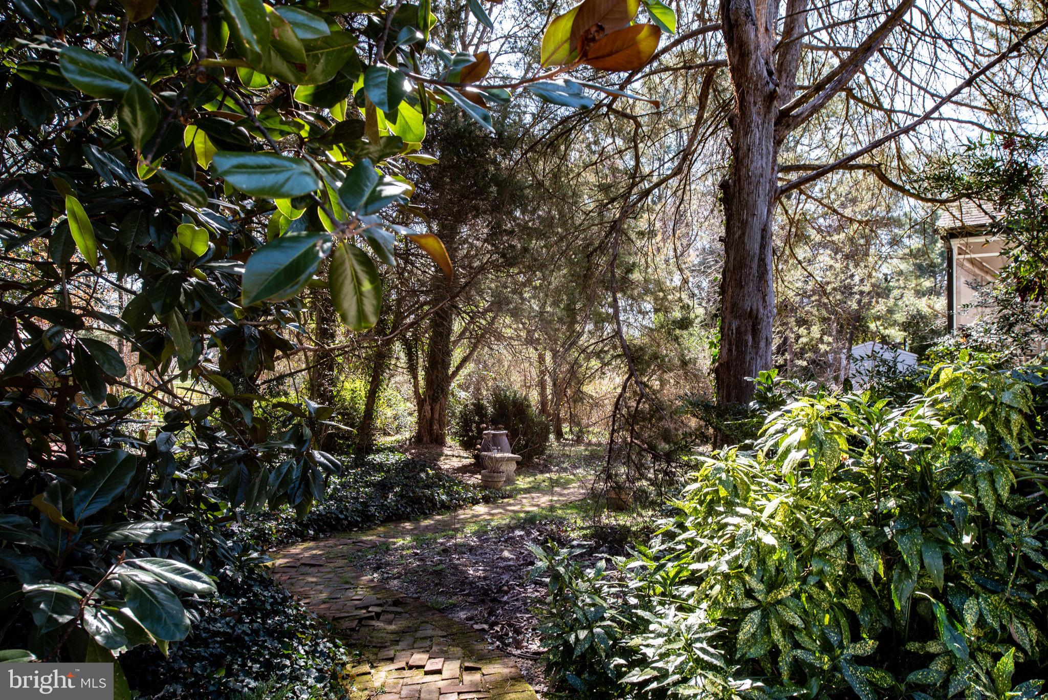 BELMONT HILLS/INGLESIDE - Residential