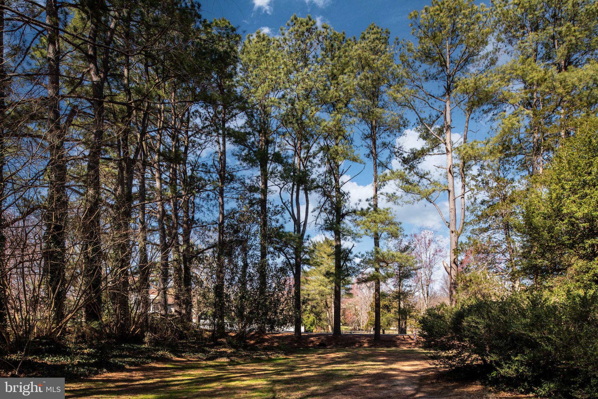 BELMONT HILLS/INGLESIDE - Residential