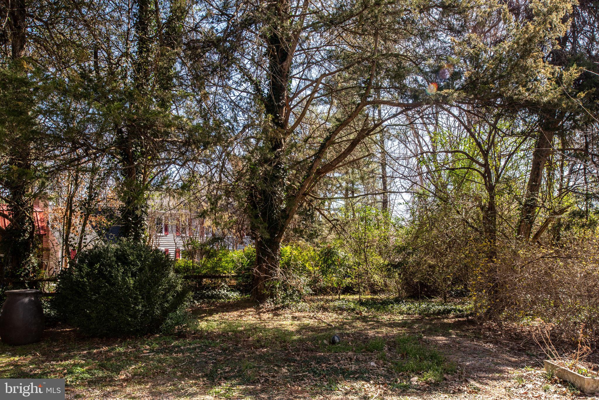 BELMONT HILLS/INGLESIDE - Residential