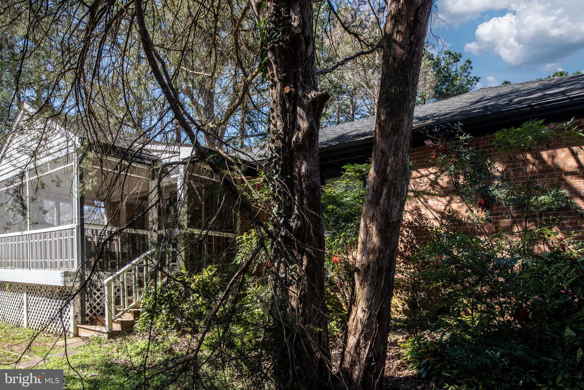 BELMONT HILLS/INGLESIDE - Residential