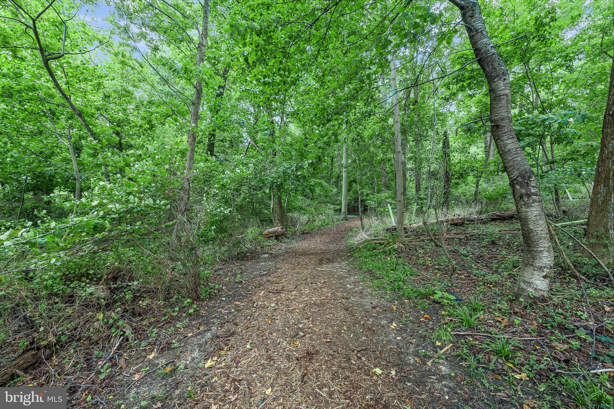 ANNAPOLIS ROADS - Residential