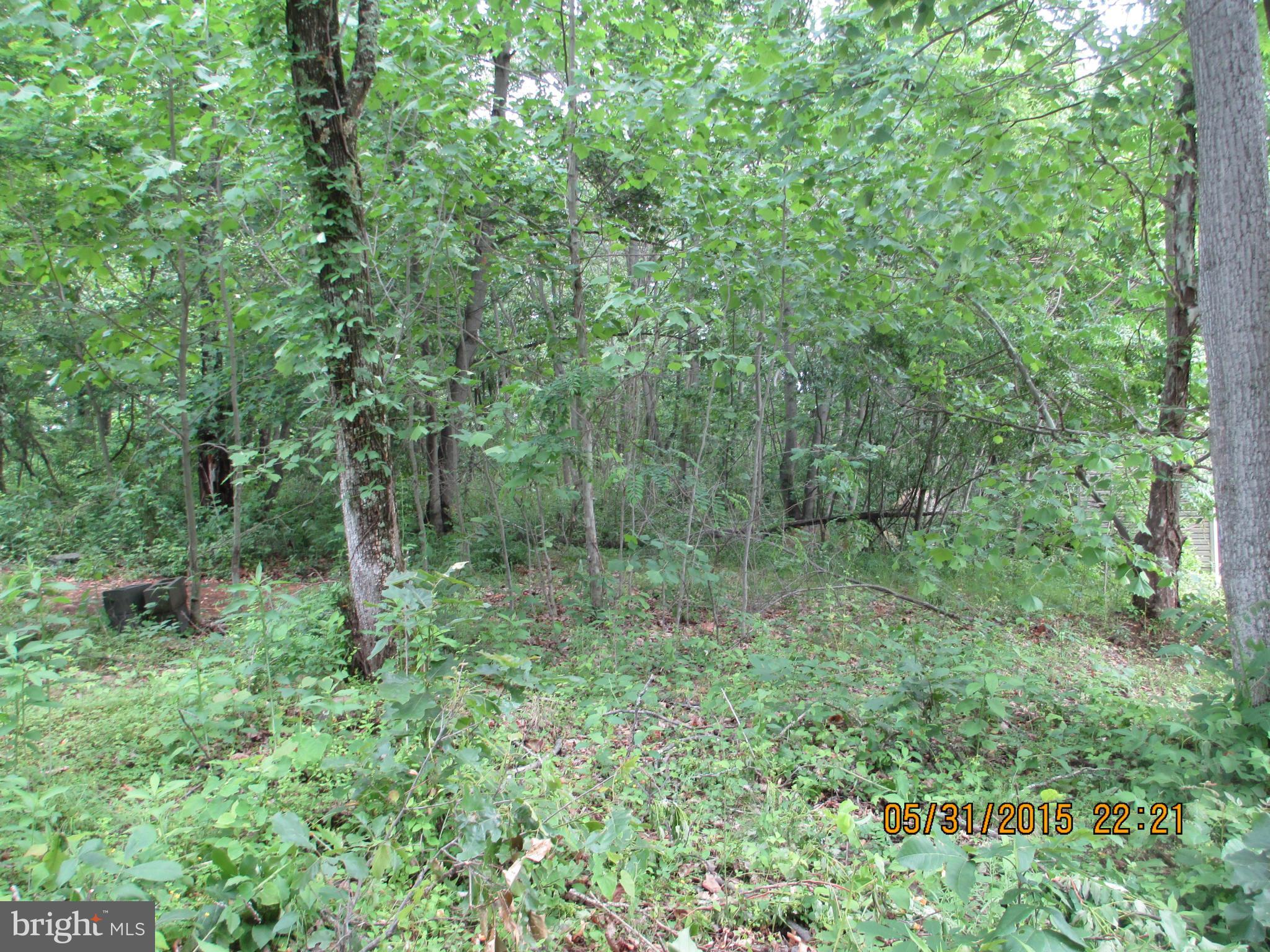 OVERLOOK RIDGE - Residential