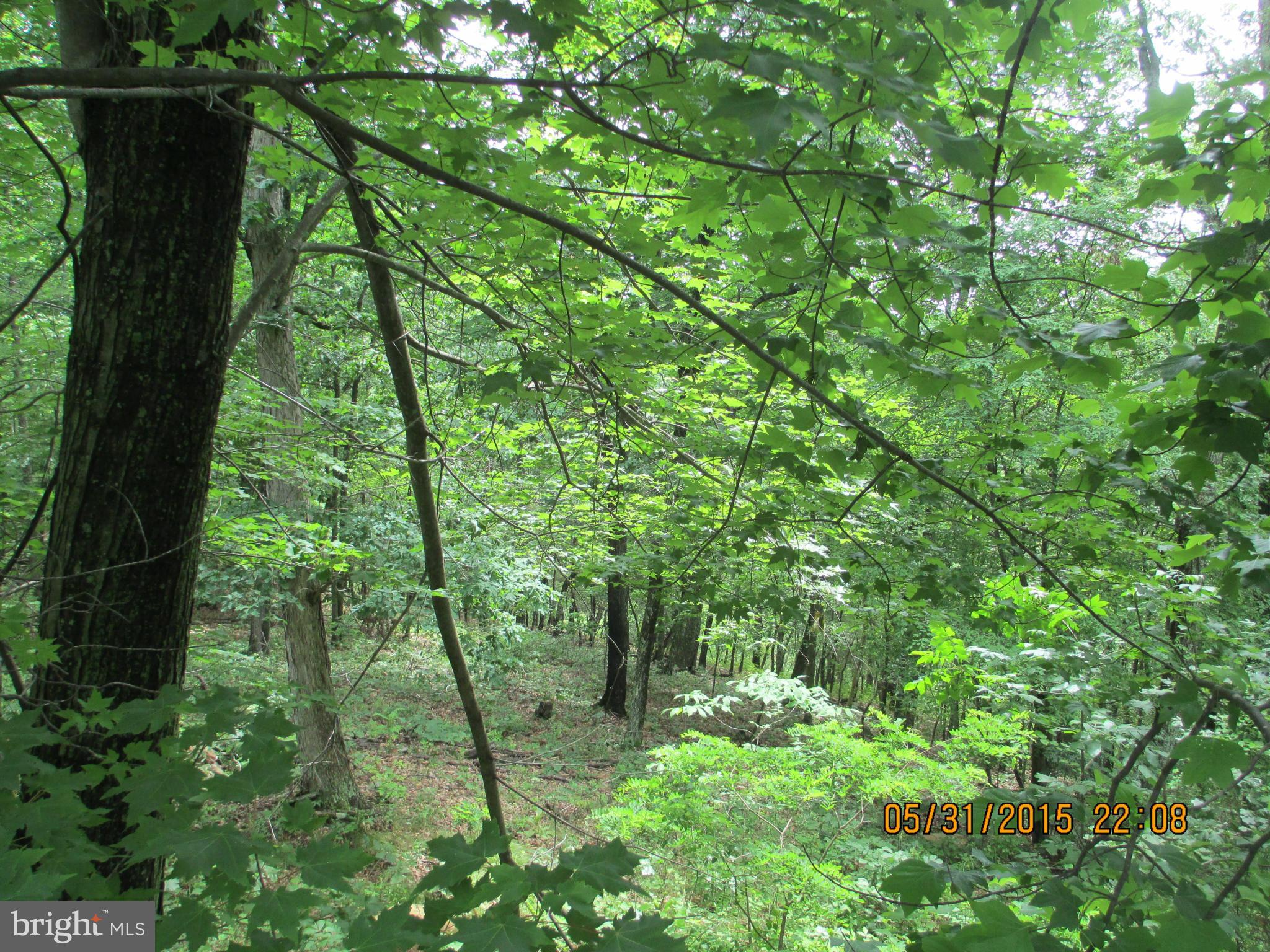 OVERLOOK RIDGE - Residential