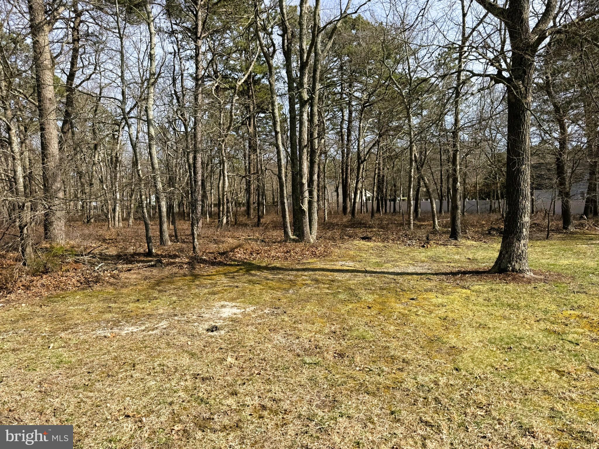17 PINEWOOD DRIVE