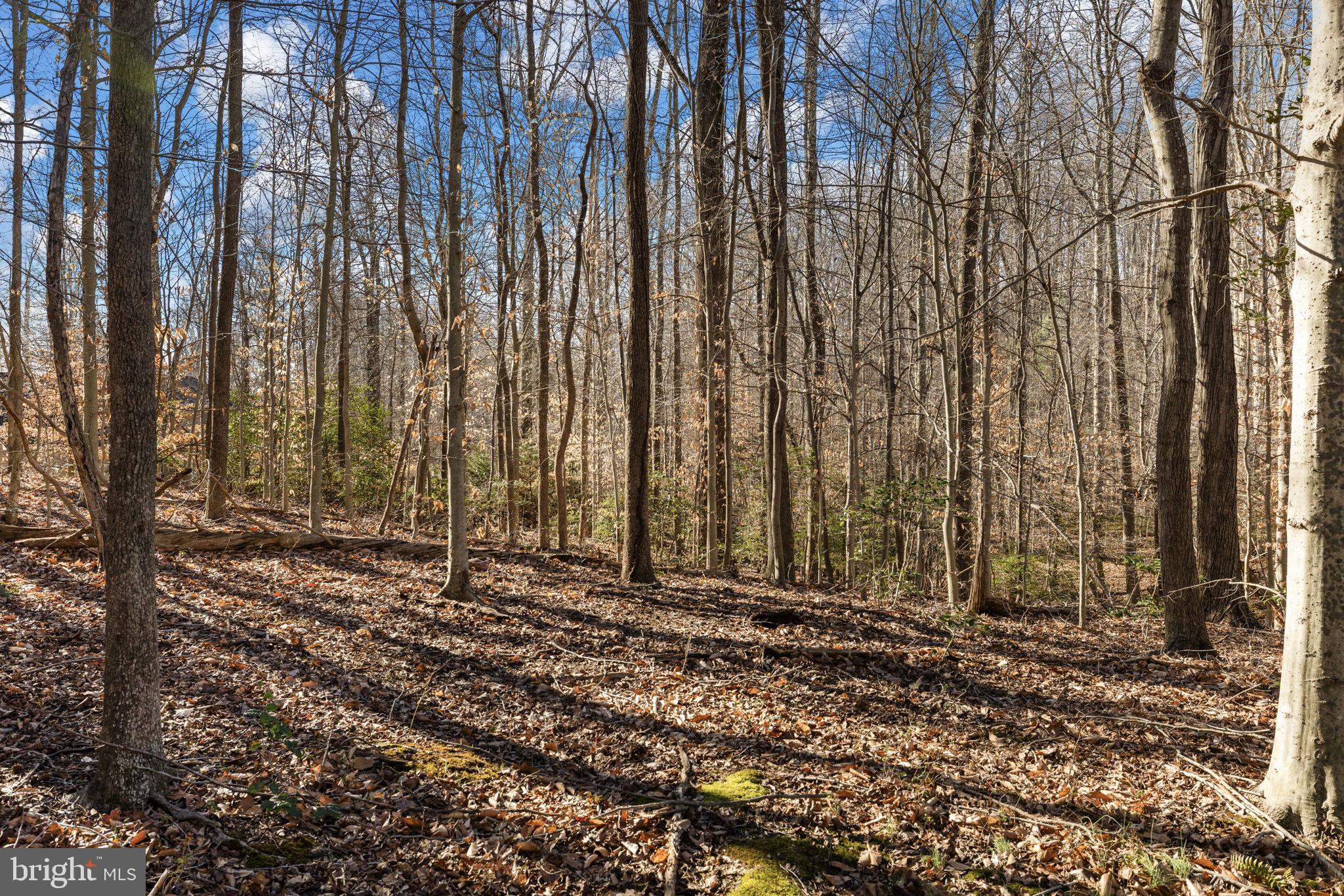 PRESIDENTIAL LAKES - Residential